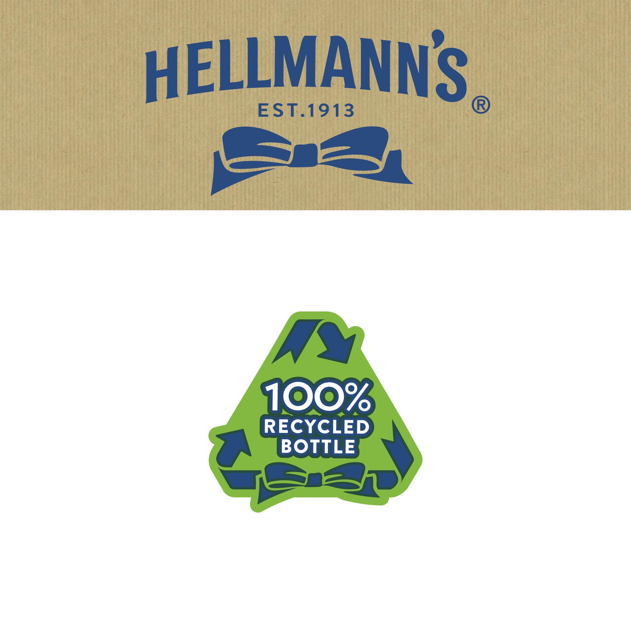 Hellmann's Rich & Smoky BBQ Sauce - Limited Edition UEFA EURO 2024 | 490g Squeeze Bottle 5