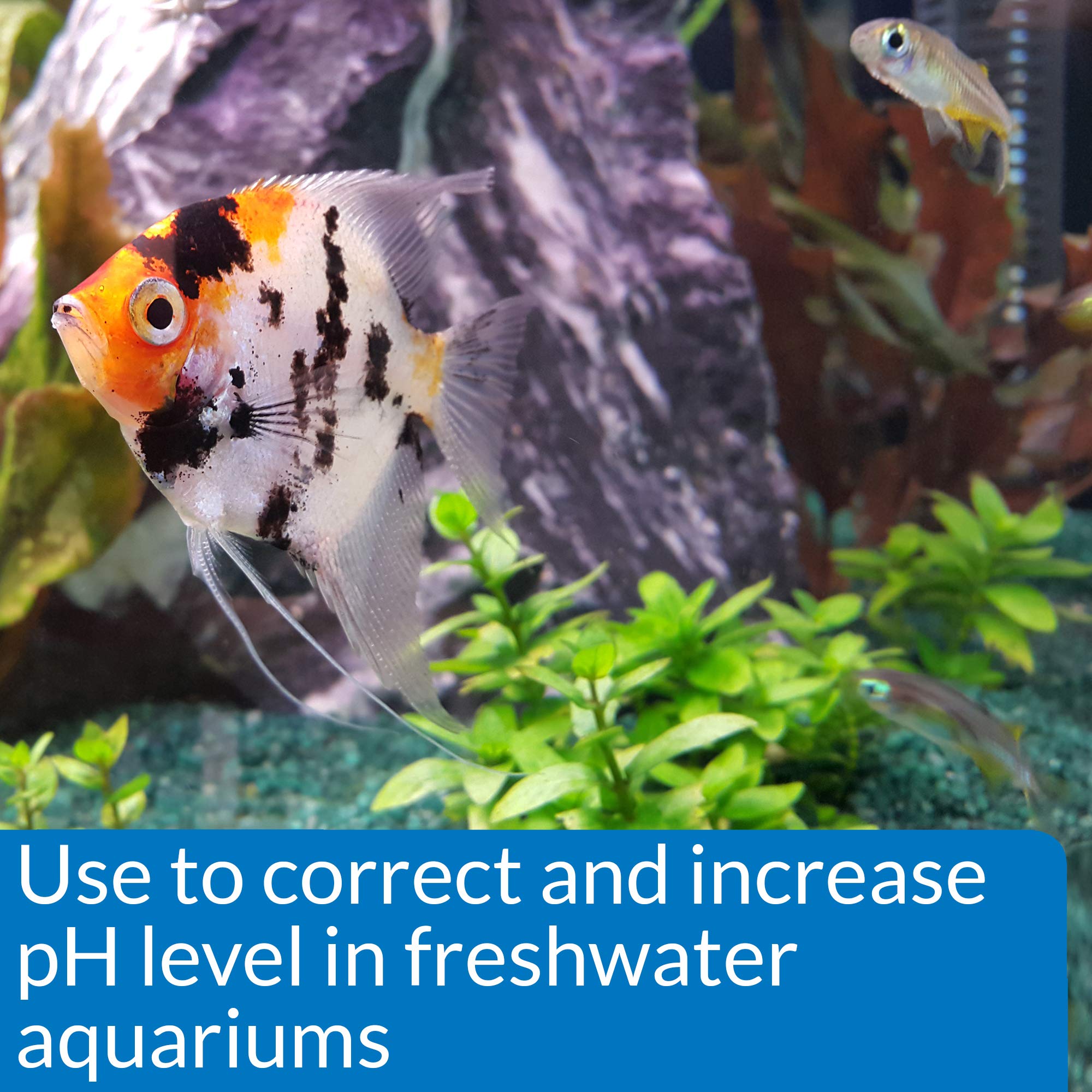 API pH UP Freshwater Aquarium Water pH Raising Solution - Phosphate-Free Formula | 118 ml
