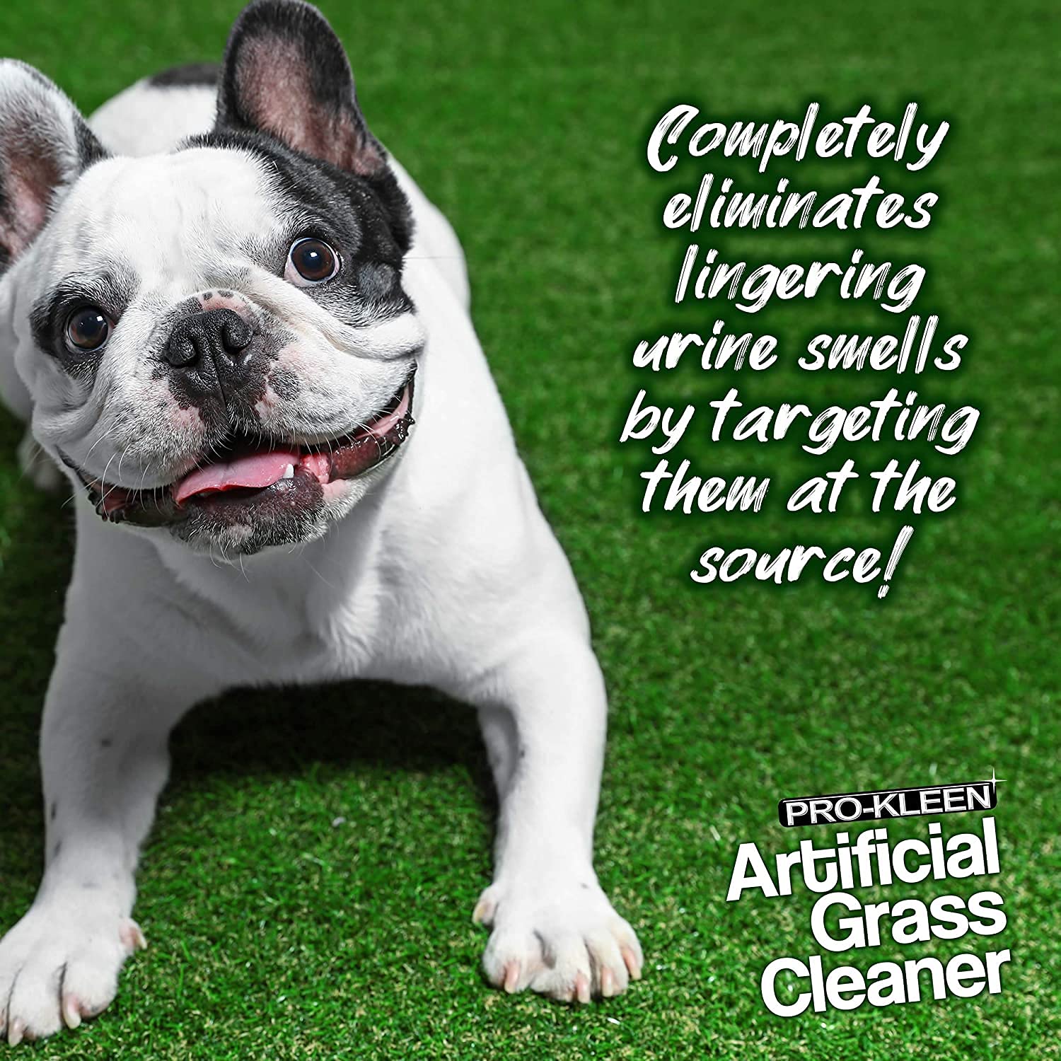 Pro-Kleen Artificial Grass Cleaner for Dogs - 3-in-1 Formula, 1L Bottle, Floral Scent 5