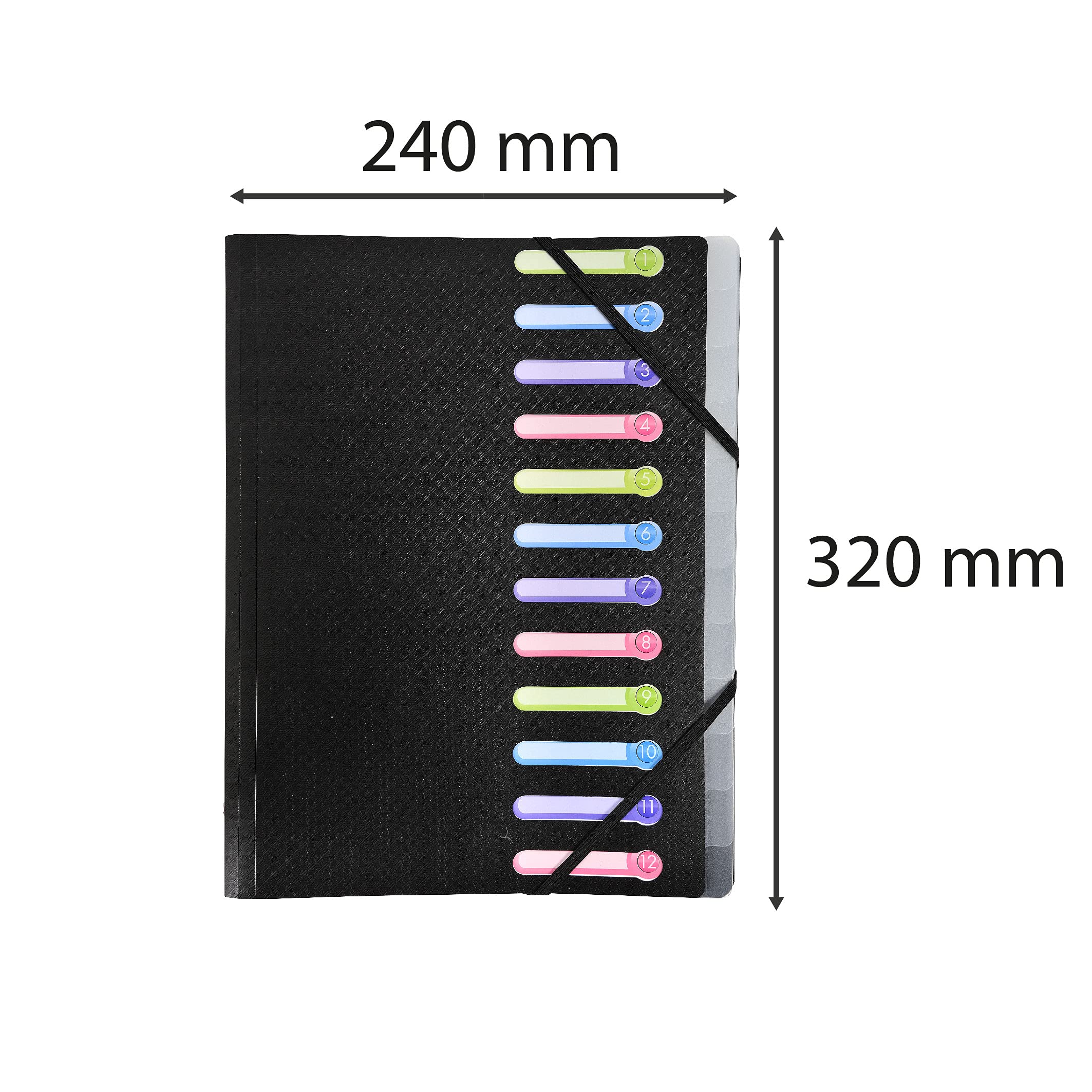 Exacompta Opak Multipart File Ref 55981E - 12 Sections | 400 Sheet Capacity | A4 Size 2