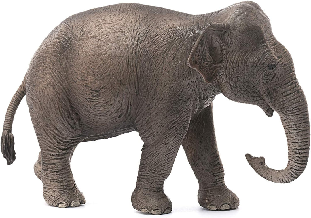 Schleich Wildlife Asian Elephant - Female Animal Figure (14753)