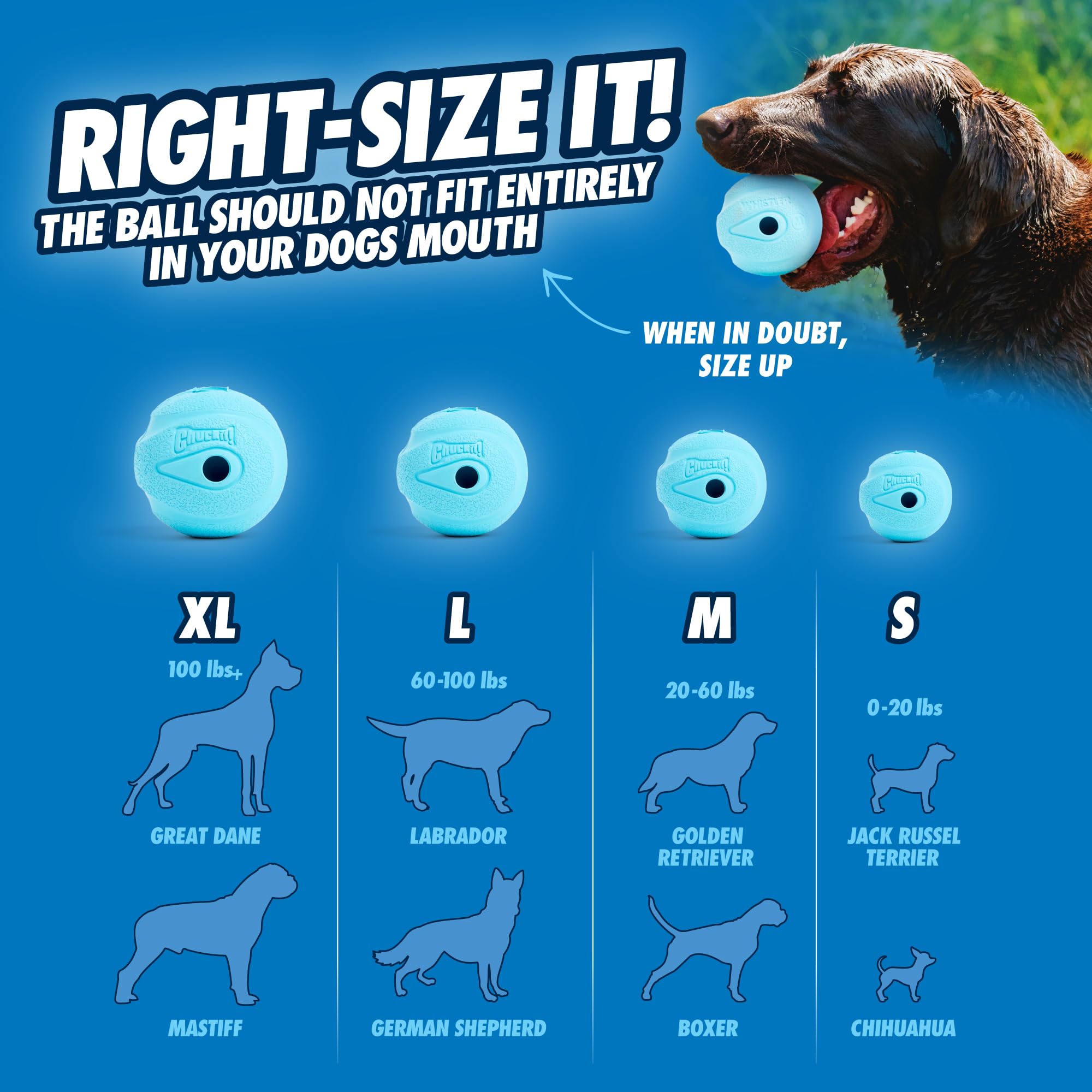 Chuckit! The Whistler Ball - High Bounce Rubber Dog Toy | Launcher Compatible | Medium, 2 Pack 5
