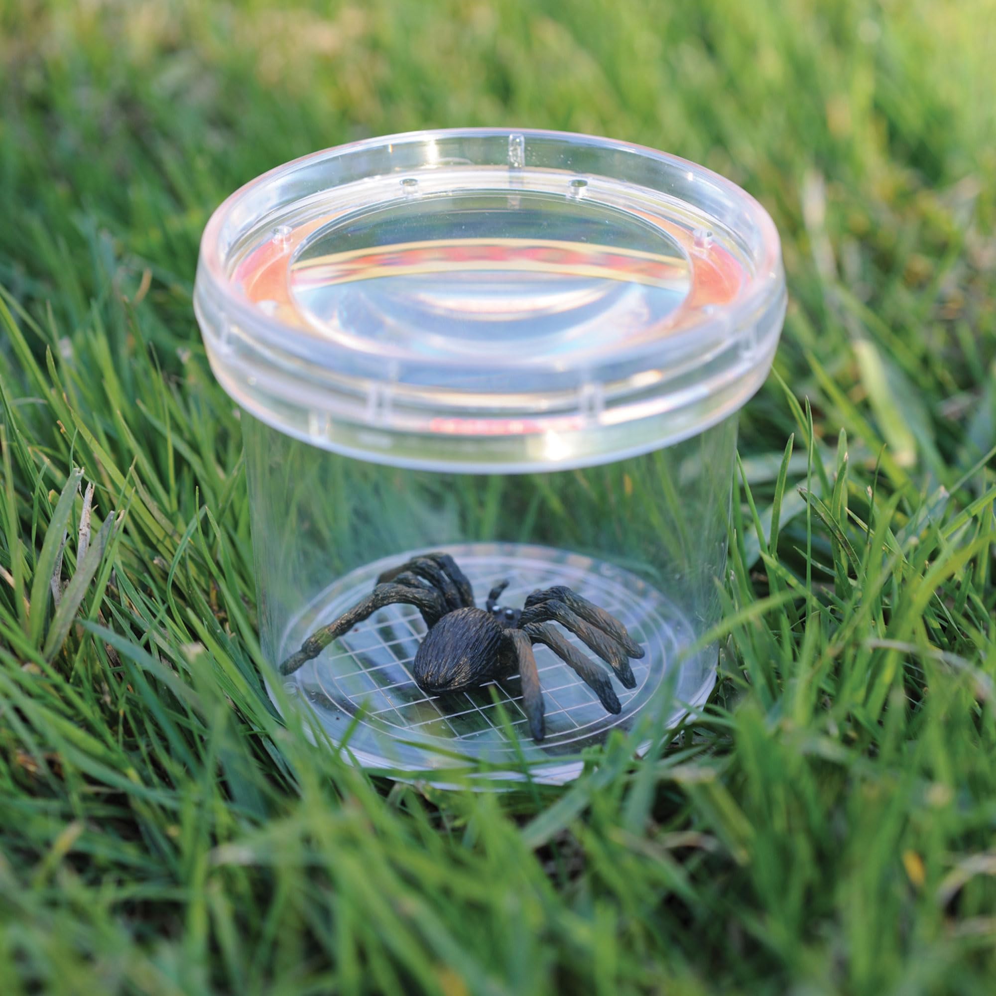Learning Resources GeoSafari Jr. Bug Viewer - 3x Magnification & Measuring Grid for Kids Ages 4-8