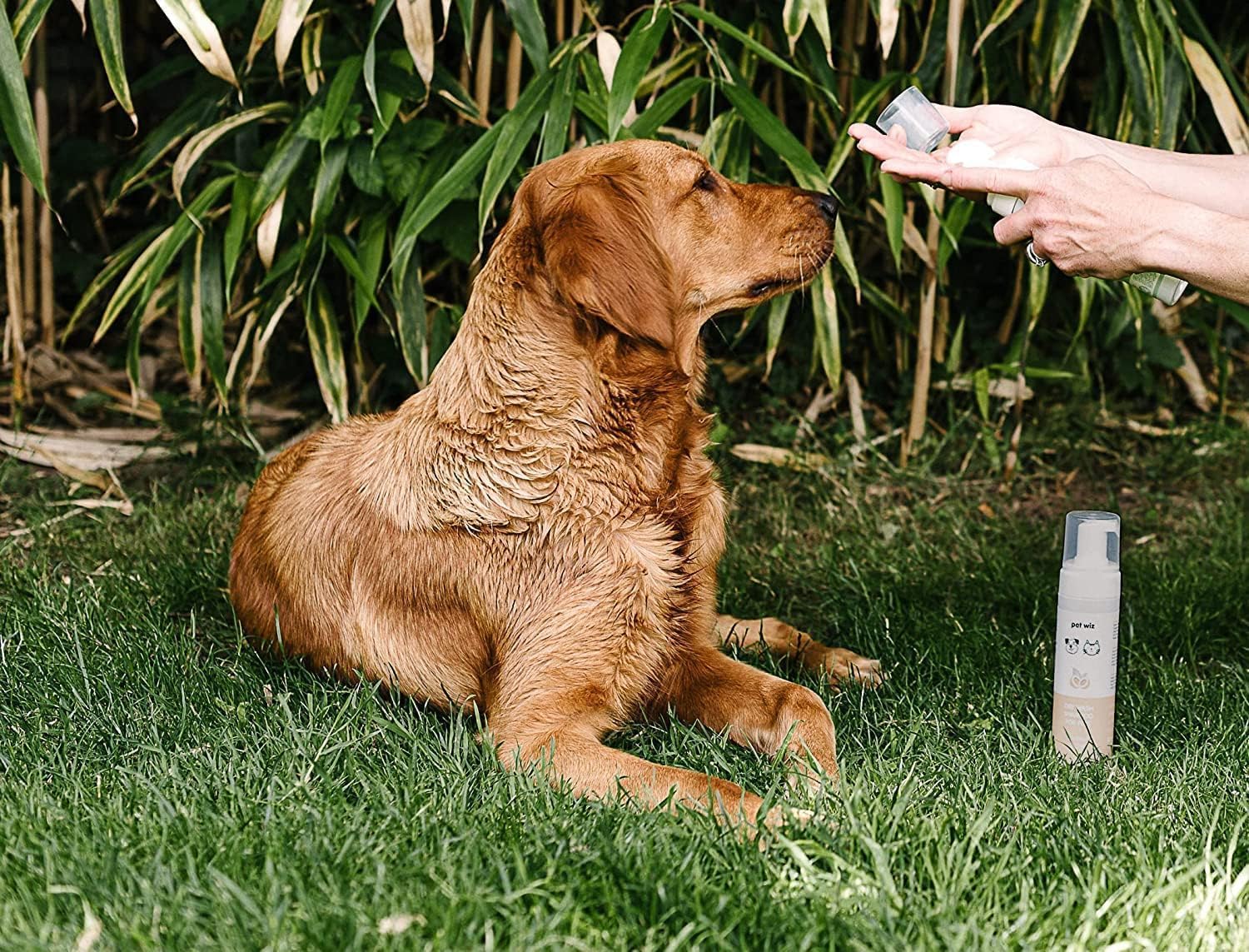 pet wiz Waterless Mousse Dog Shampoo - Aloe & Oat Scent | 200ml 3