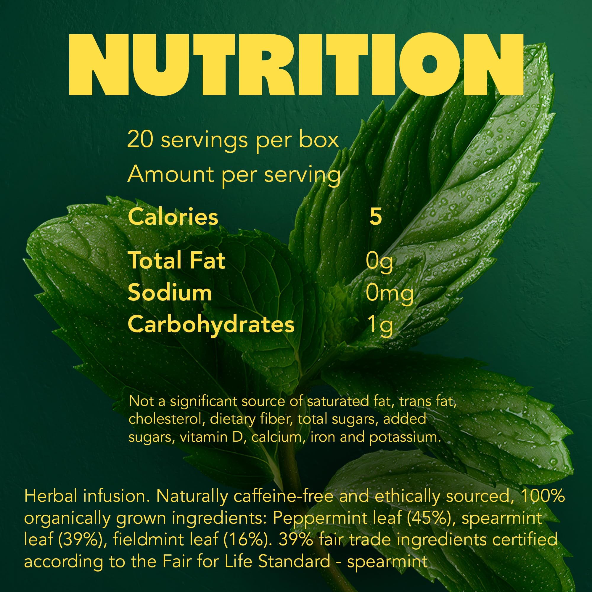 Pukka Herbs Gut Health Herbal Tea - Organic Ginger & Peppermint Blend | 20 Tea Bags 8