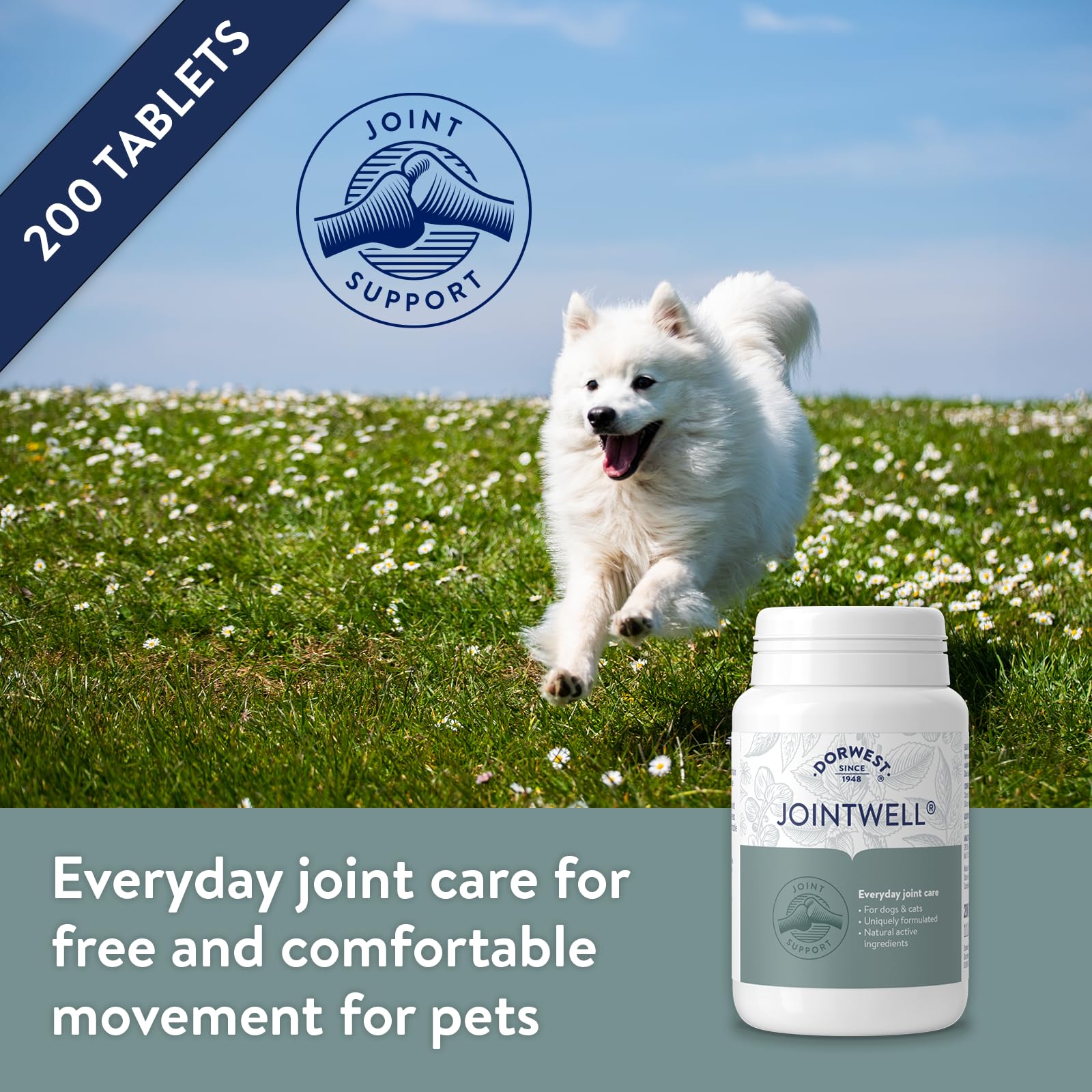 DORWEST HERBS JointWell - Natural Hip & Joint Care Supplement for Dogs & Cats | 200 Tablets