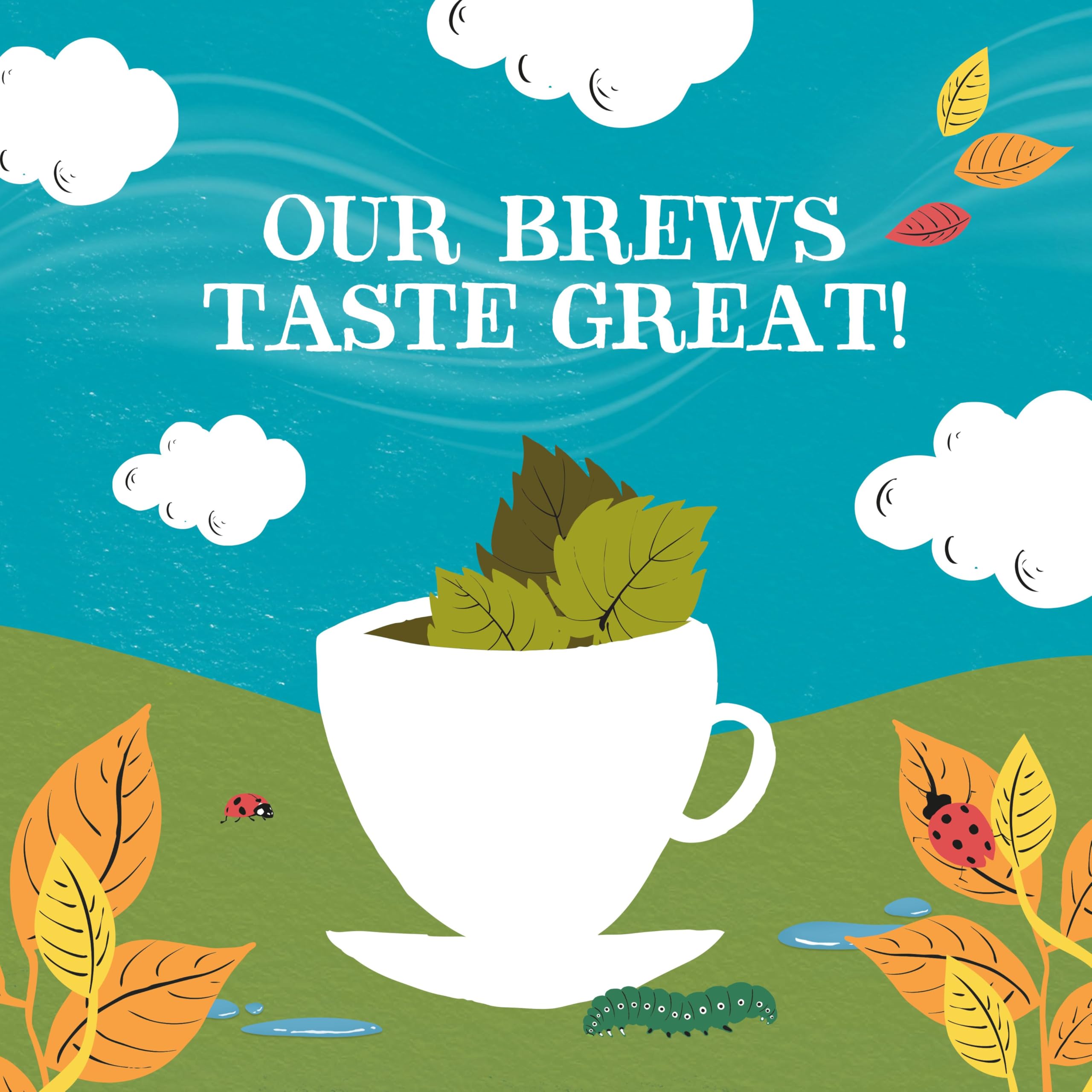 Clipper Organic Nettle Herbal Infusion Tea (20 Unbleached Bags) 6