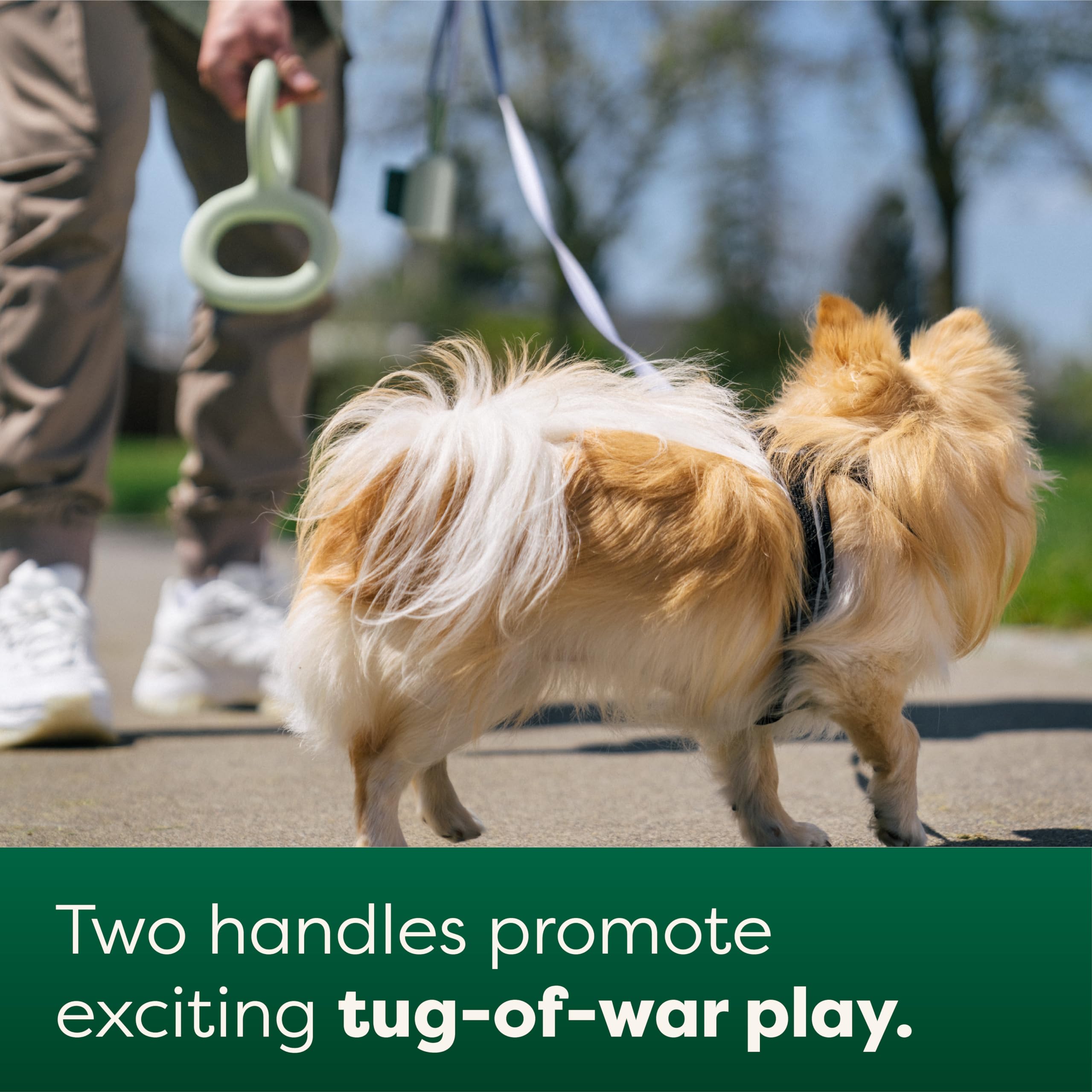Earth Rated Tug of War Dog Toy - Interactive Pull Toy for Small Dogs | Natural Rubber | Green 4