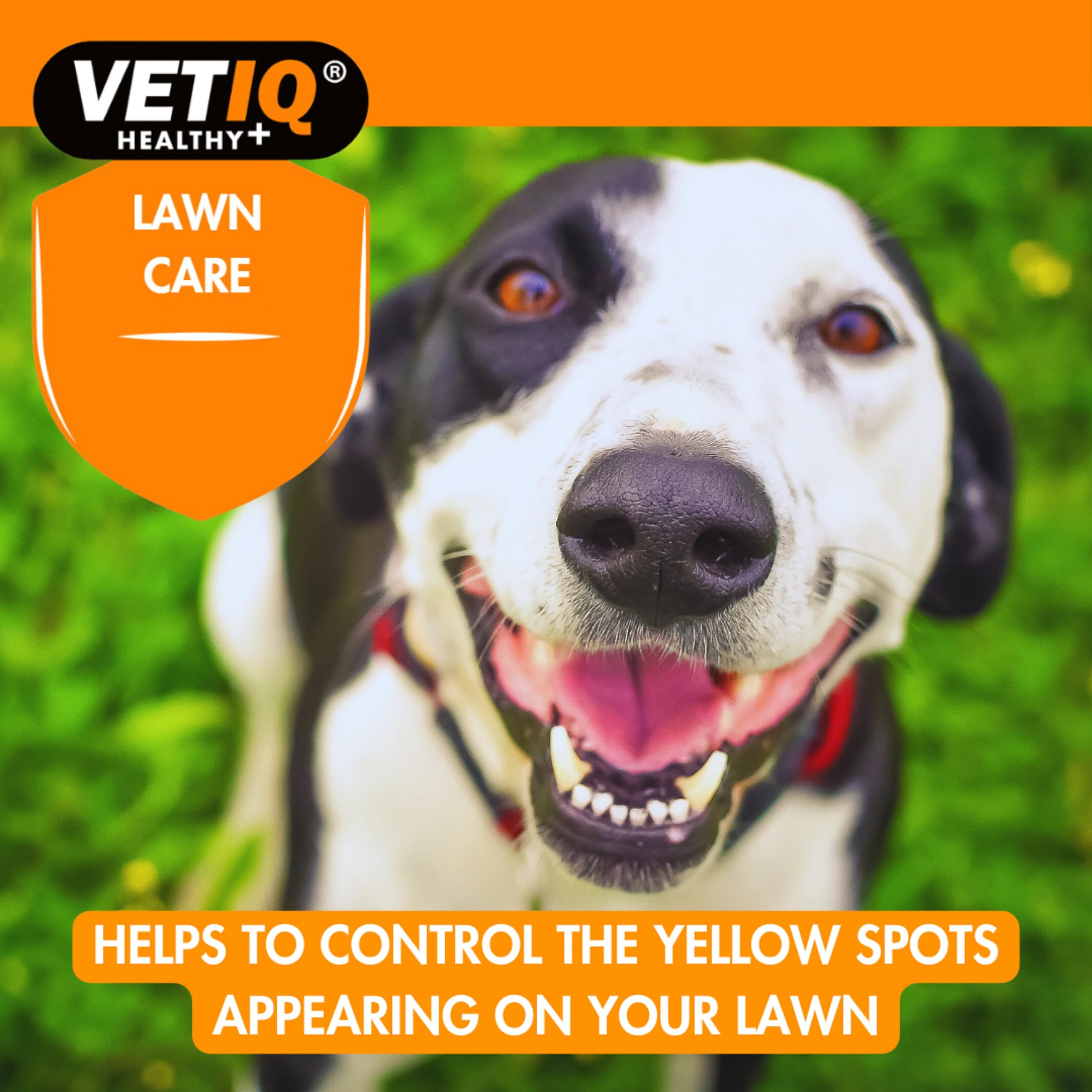 VETIQ Green-Um Lawn Burn Solution - Neutralizes Dog Urine pH | 175 Tablets | Contains B Vitamins 5