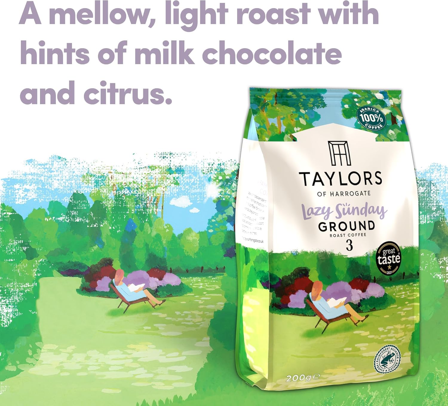 Taylors of Harrogate Lazy Sunday Ground Coffee, 400g (Pack of 3) 5