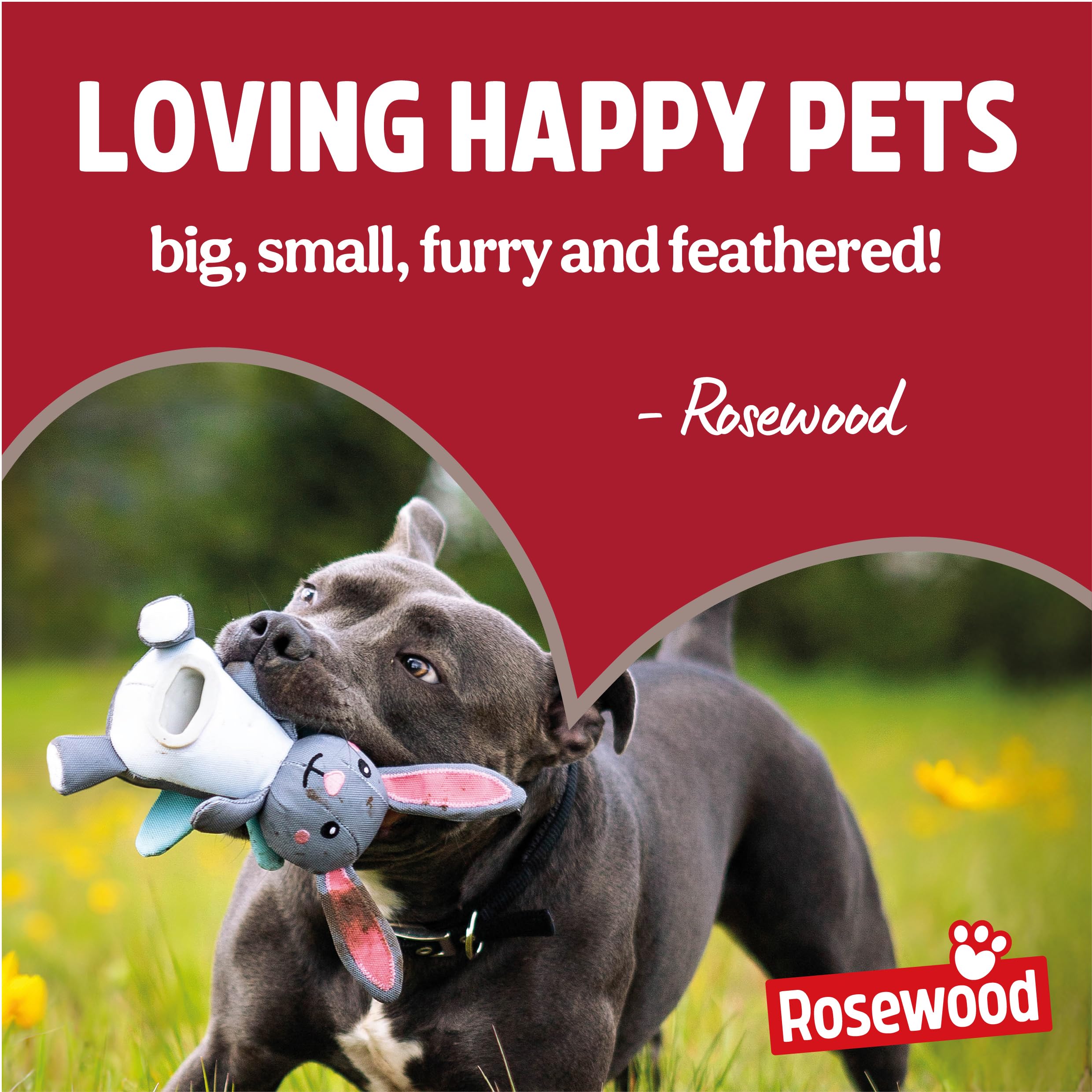 Rosewood Dog Poo Bags with Handles - 100 Count Roll | Vanilla Scented | 30% Recycled Plastic 8