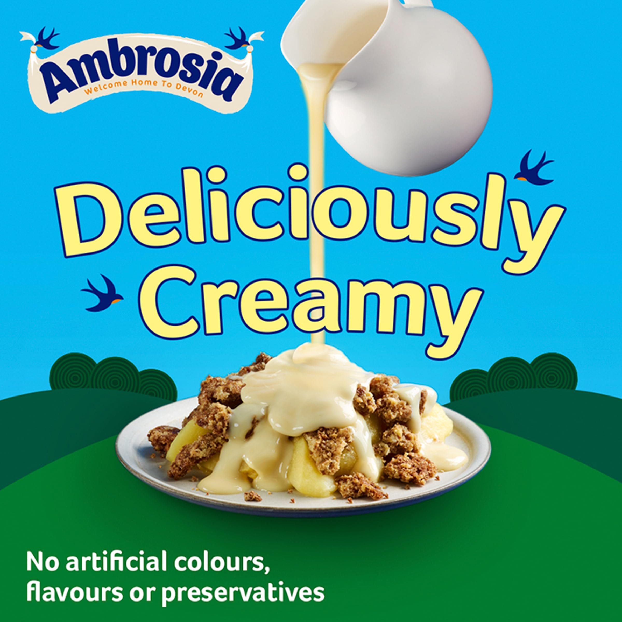 Ambrosia Devon Custard - Creamy Traditional Ready-to-Eat Dessert | 400g Can (Pack of 12) 3