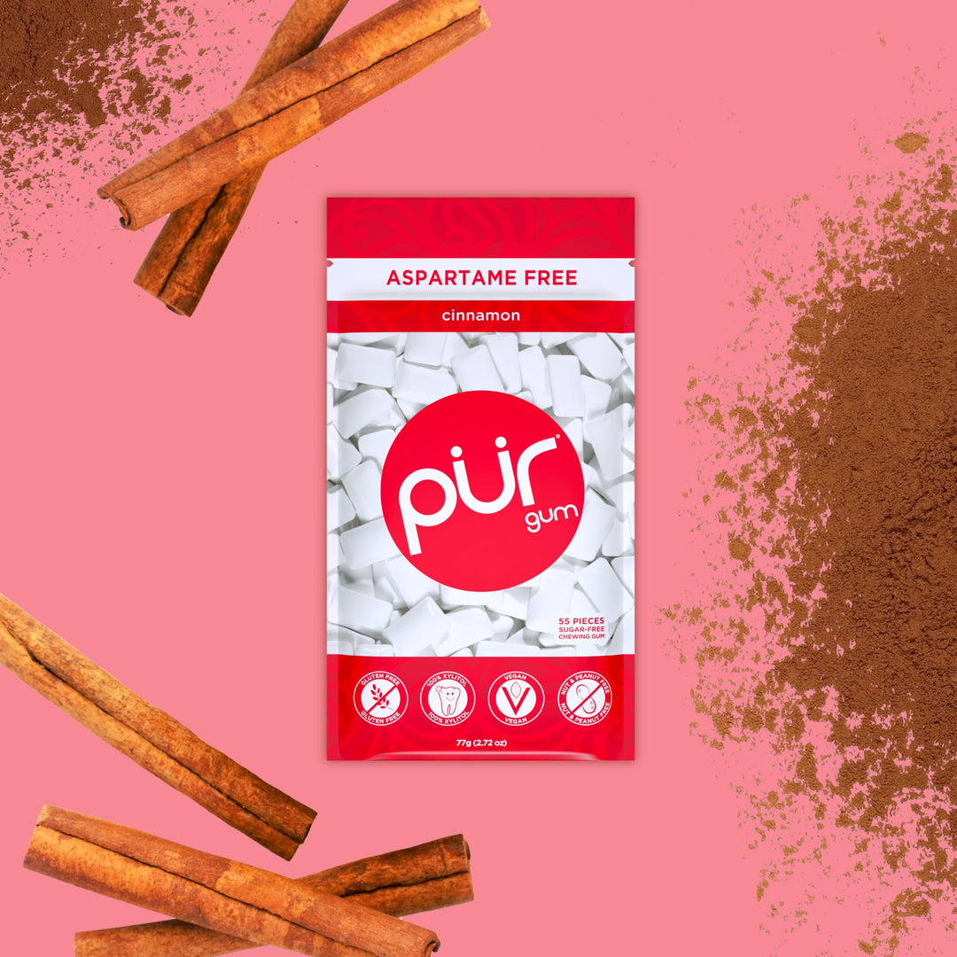 PUR - Natural Cinnamon Sugar Free Chewing Gum, Made with Xylitol, Vegan & Aspartame Free, 55 Pieces (Pack of 6)
