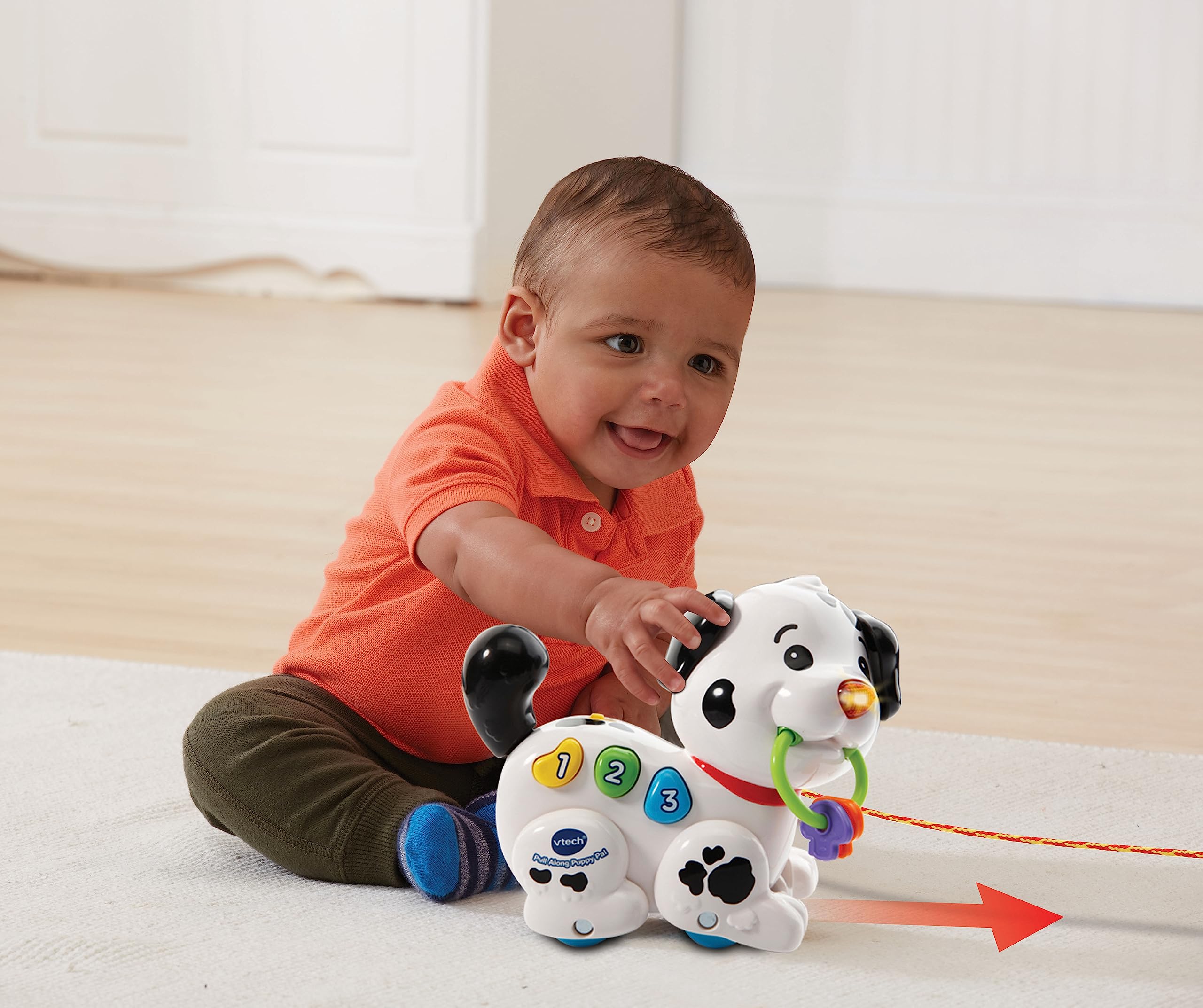 VTech Pull Along Puppy Pal - Interactive Musical Walker for Babies 6 Months+ 7