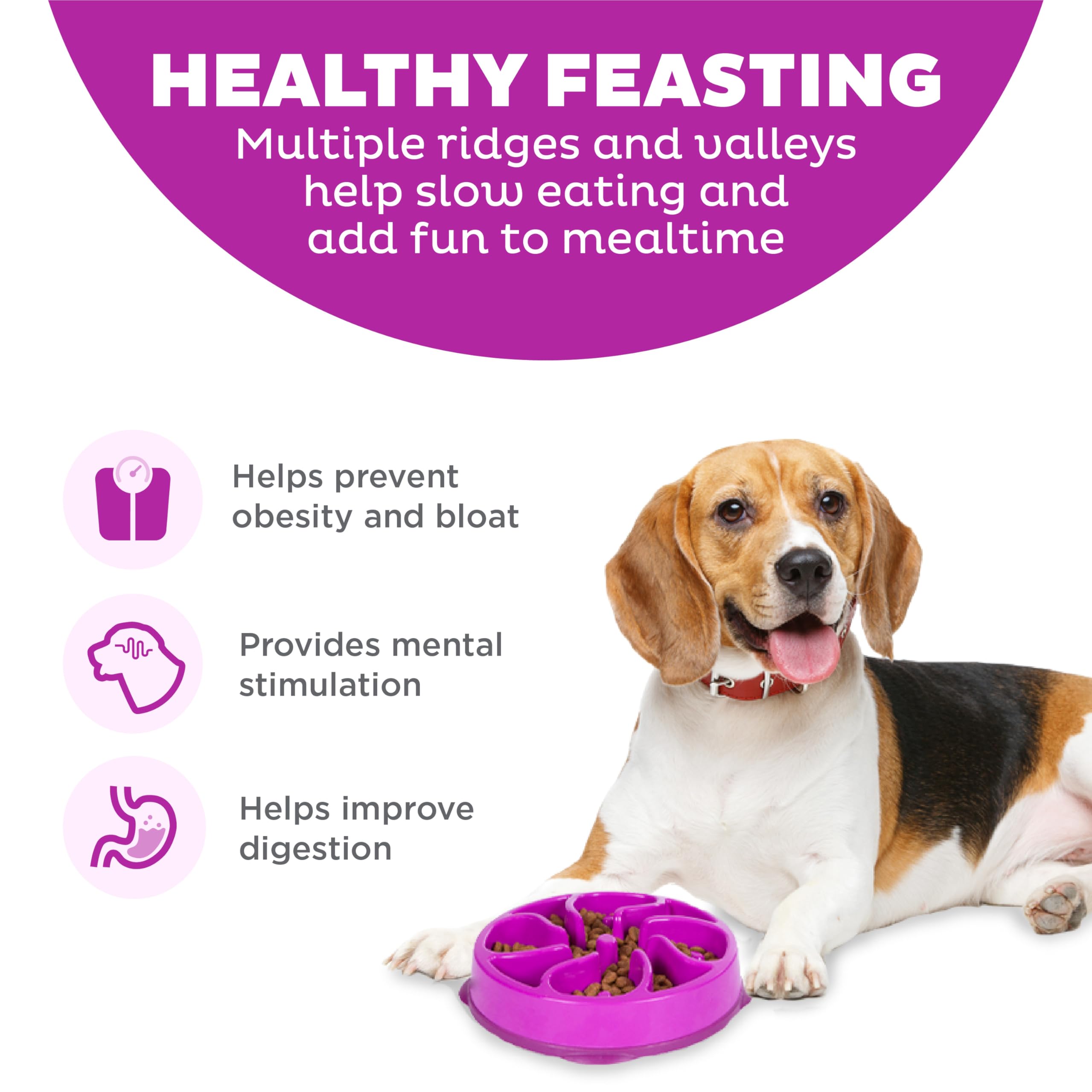 Outward Hound Fun Feeder Slo Bowl - Slows Eating 10X | Medium Size | Purple 2