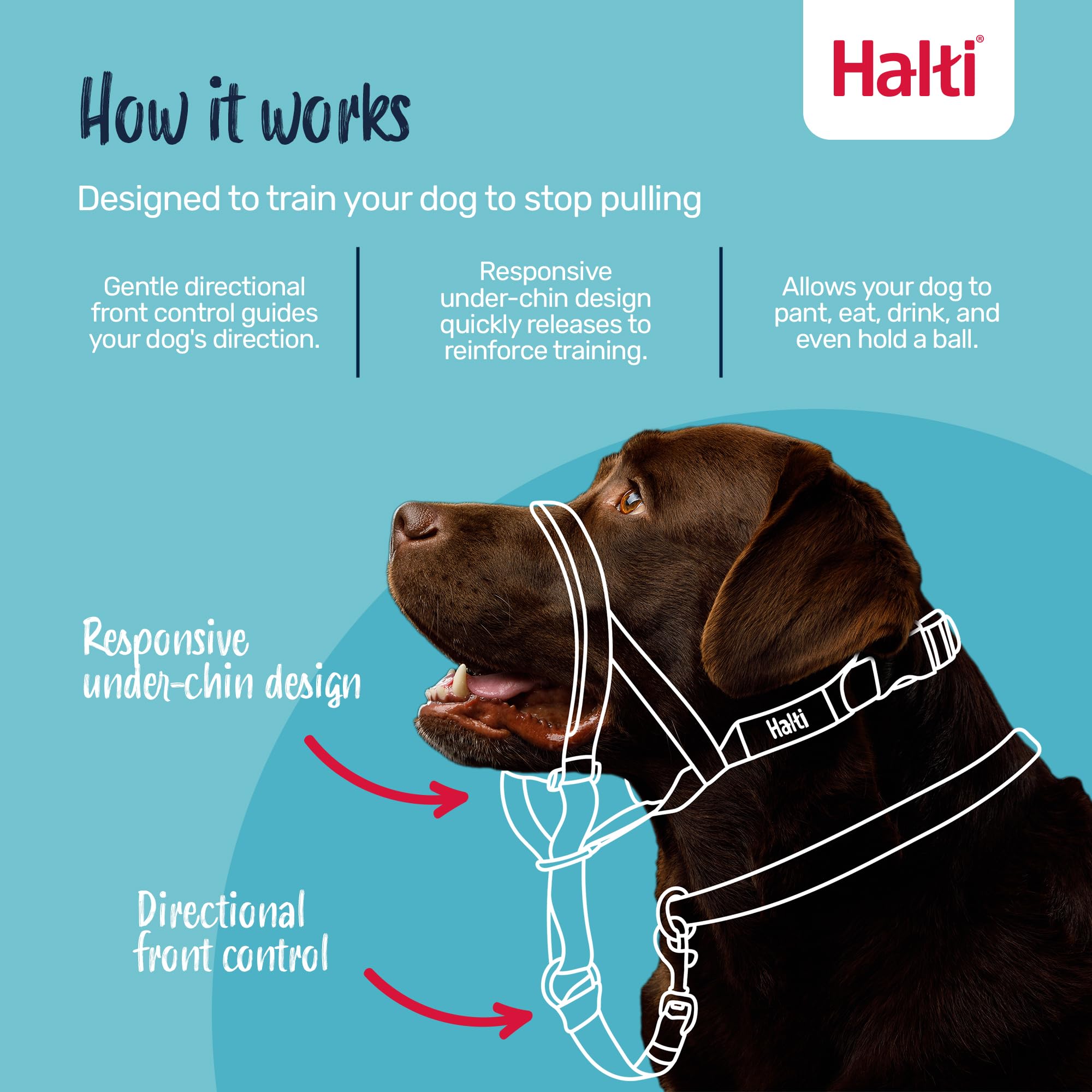 Halti Headcollar Size 2 Black - Anti-Pull Training Aid | Padded Nose Band | Reflective