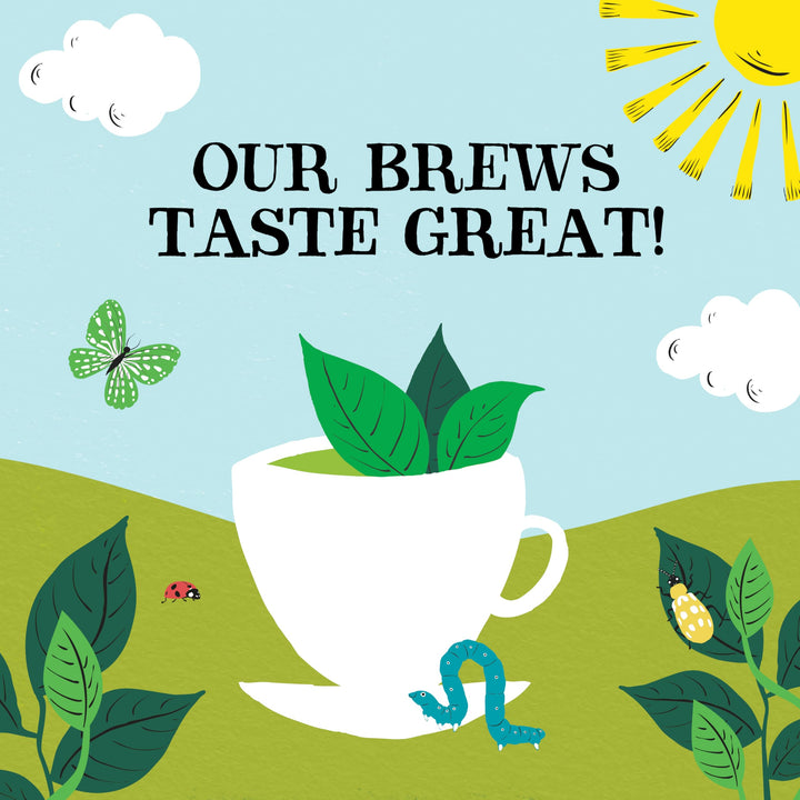 Clipper Organic Pure Green Tea Bags - 320 Bags (4 x 80) Bulk Pack, Fairtrade & Plastic-Free
