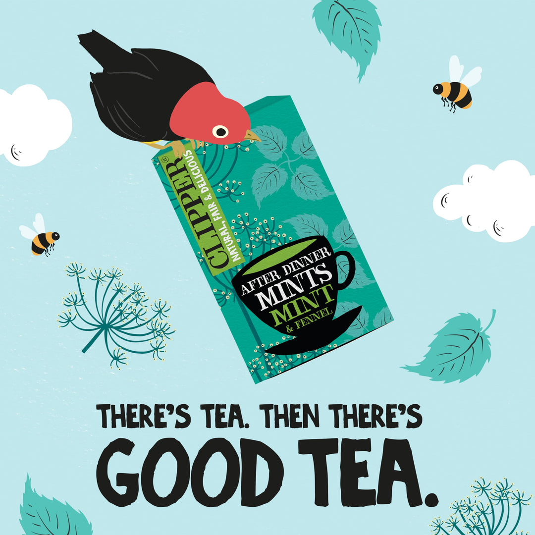 Clipper Organic After Dinner Mint & Fennel Infusion Tea Bags | 20 Unbleached Tea Sachets