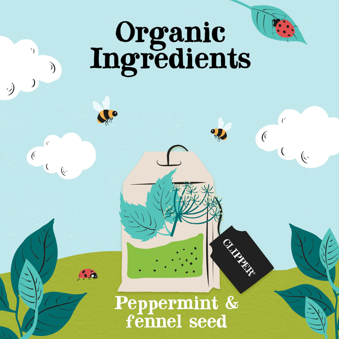 Clipper Organic After Dinner Mint & Fennel Infusion Tea Bags | 20 Unbleached Tea Sachets