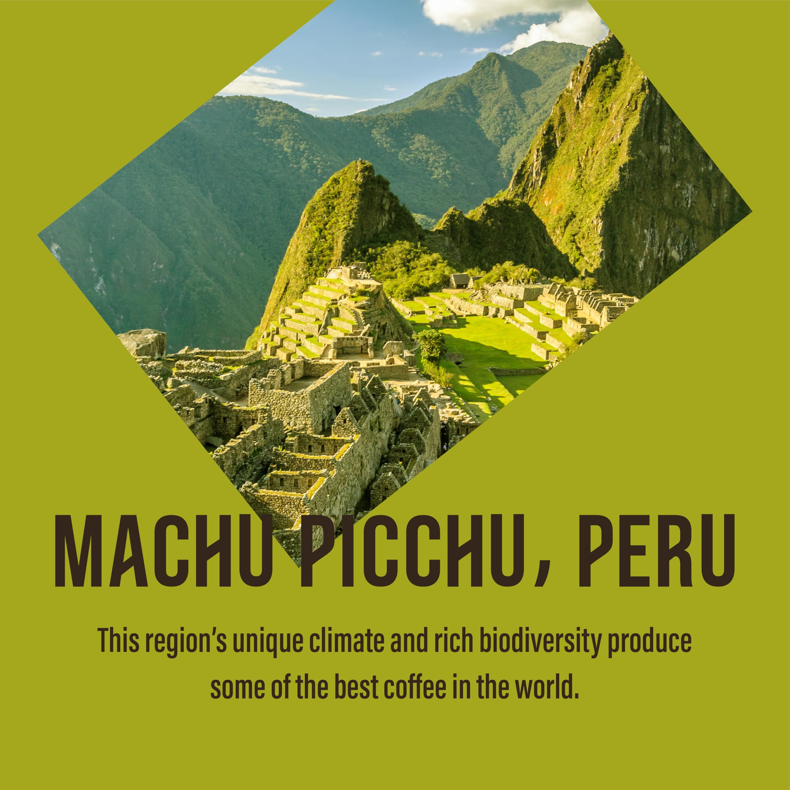 Cafédirect Machu Picchu Organic Whole Bean Coffee - Single Origin Fairtrade Arabica, 750g 3