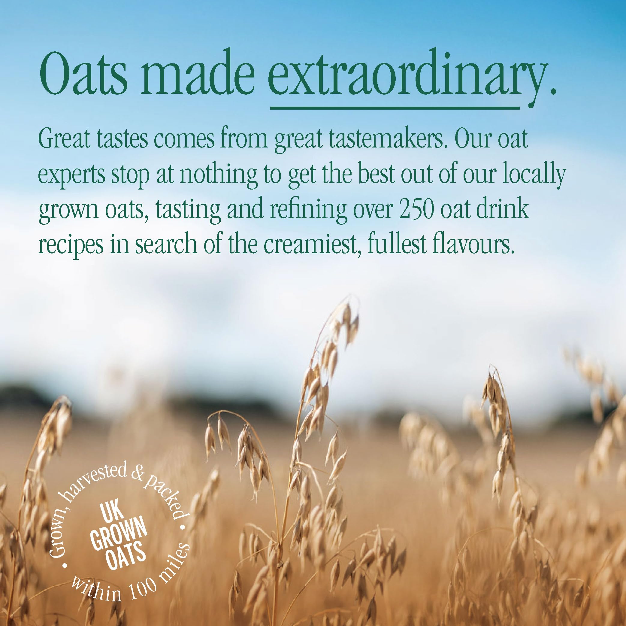 MOMA Pistachio Flavoured Oat Drink - 1L - Plant Based & Vegan - Not From Concentrate 7