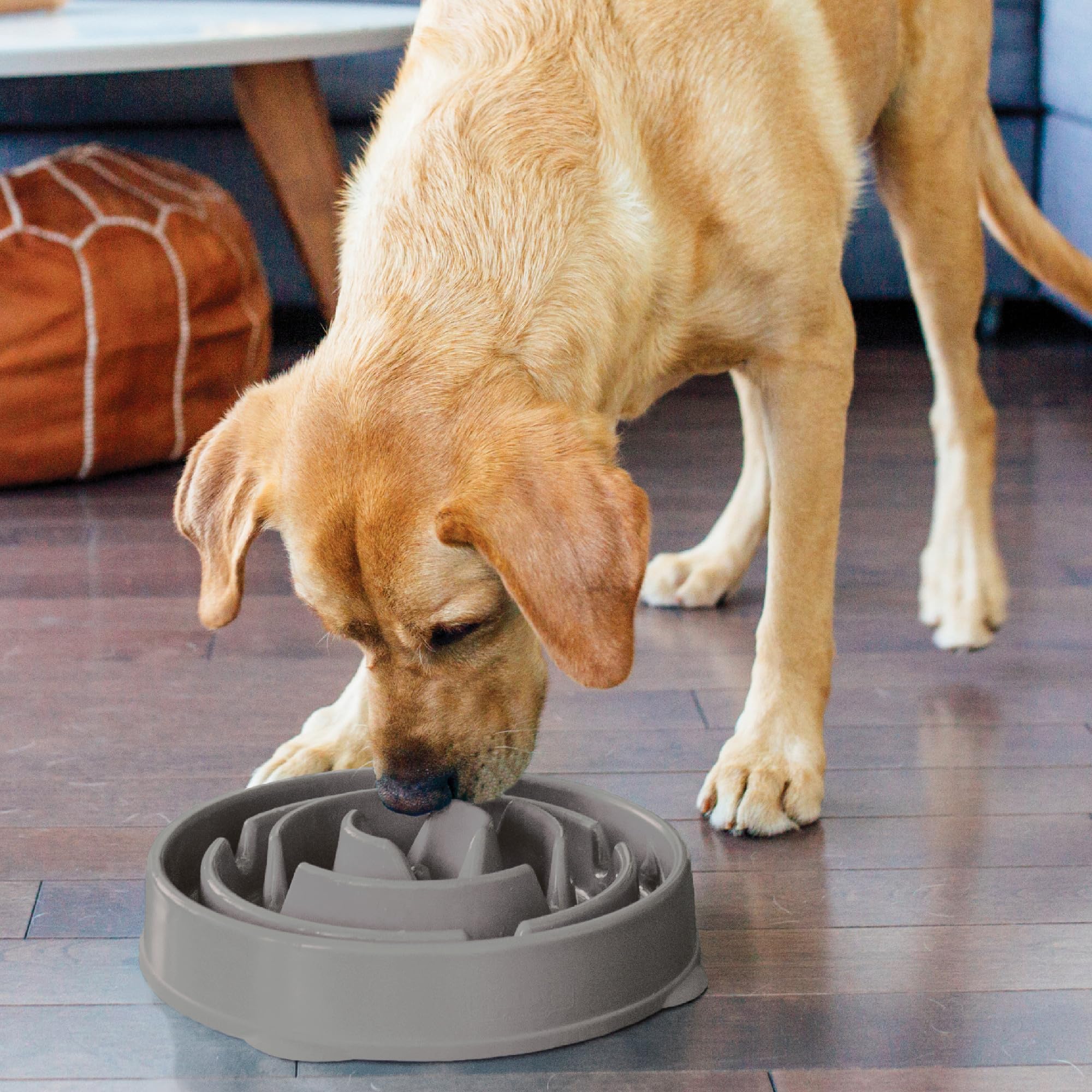 Outward Hound Slow Feeder Dog Bowl - Large Size, Grey | Promotes Healthy Digestion | Slip Resistant 5