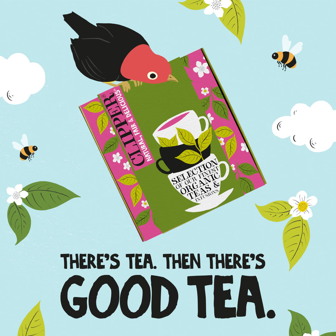 Clipper Organic Herbal & Green Tea Selection Gift Box - 45 Plastic-Free Tea Bags