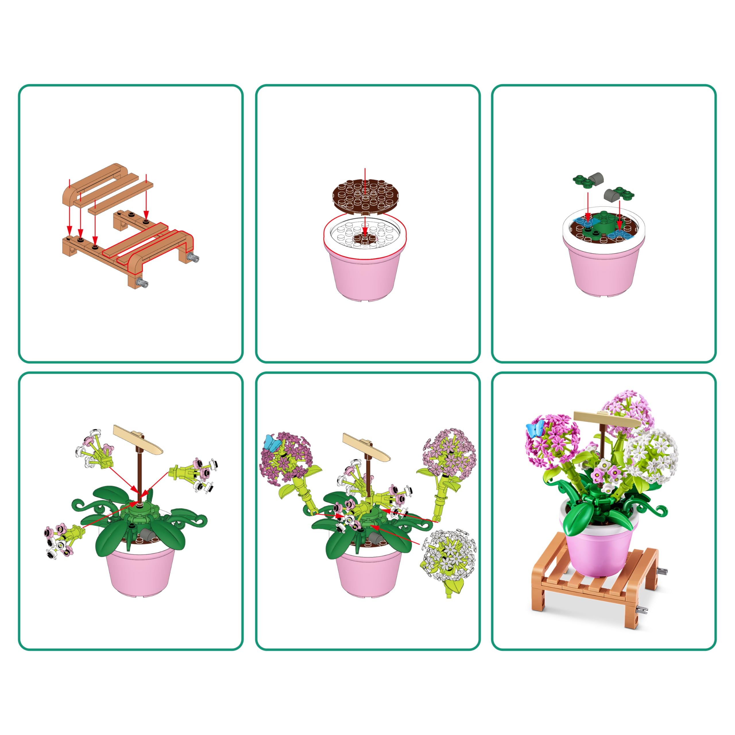 MAX Premium Garden Pot Plants Building Bricks - Hydrangea Macrophylla (1 Capsule, 3+ Years) 7