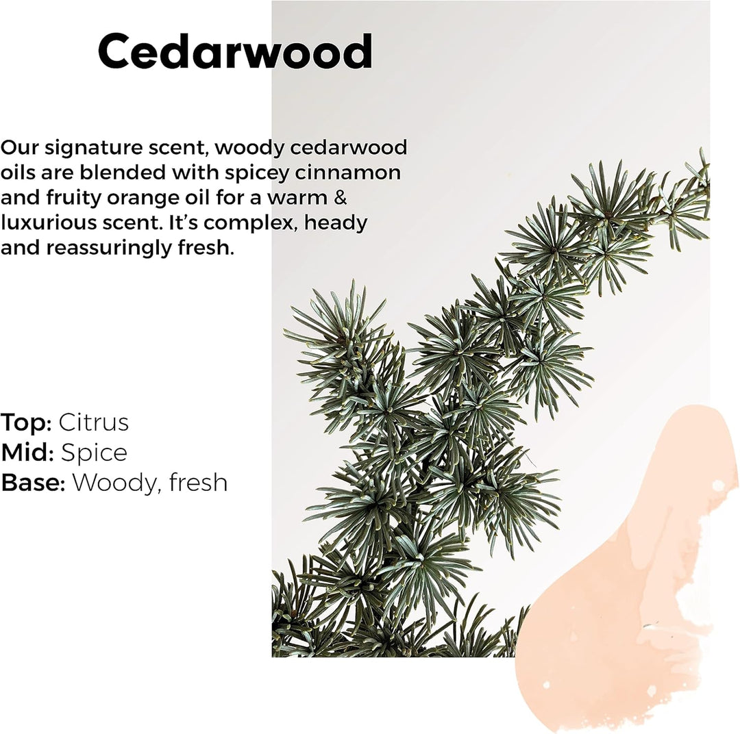Wilton London Eco Friendly Cedarwood Laundry Liquid (1kg)