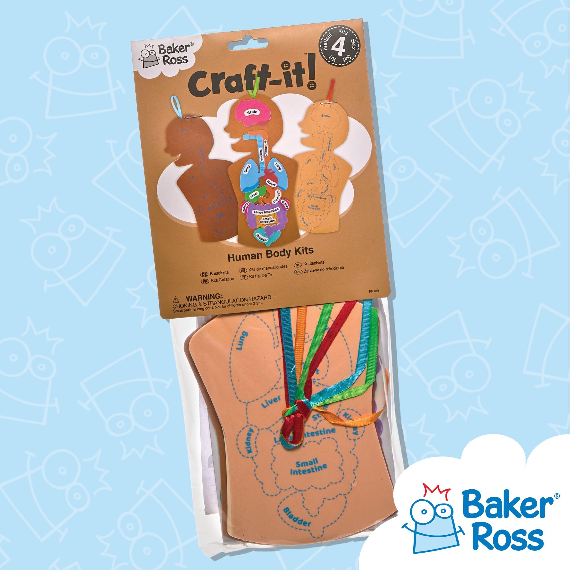 Baker Ross Human Body Kit - STEM Learning Aid for Anatomy, Pack of 4 | Self-Adhesive Foam | 31.5cm Tall 6