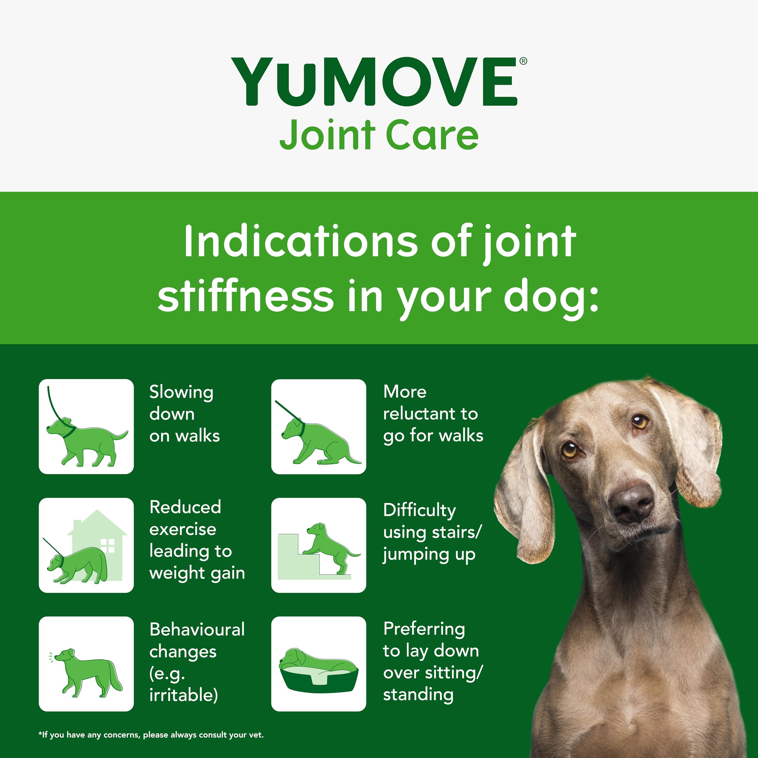YuMOVE Senior Dog Joint Supplement - 60 Chews | Triple Action Support for Mobility 3