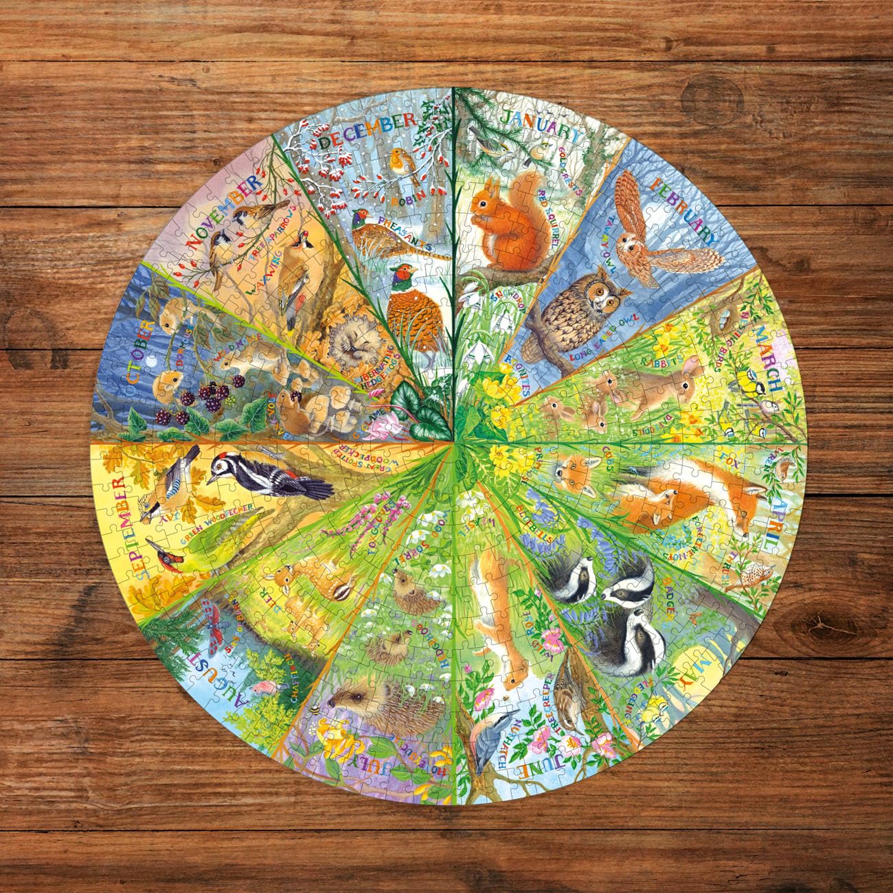 Gibsons National Trust A Year in the Forest 500 Piece Circular Jigsaw Puzzle 2