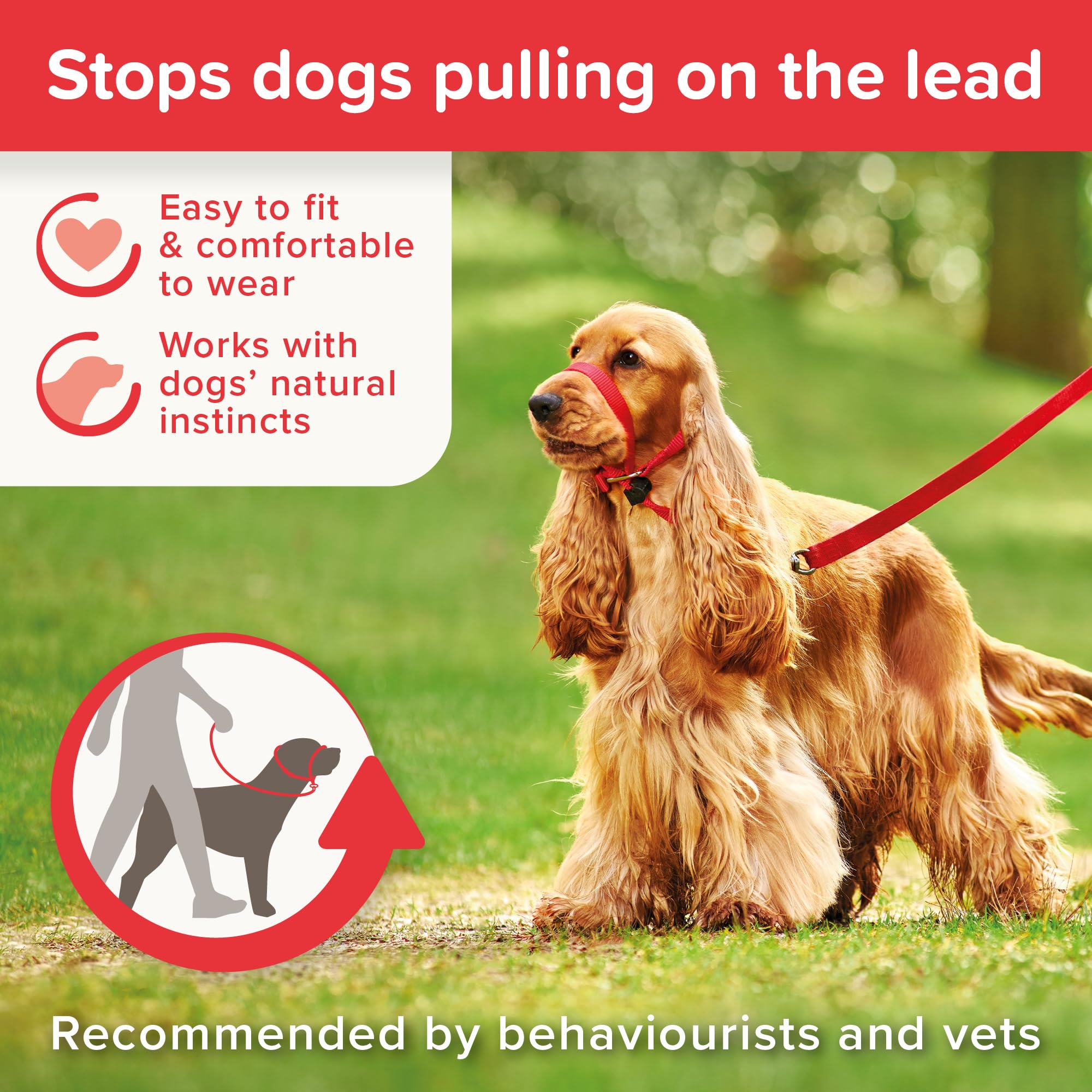Beaphar Gentle Leader Head Collar - Medium Dog Training Aid for Stopping Pulling | Red 5