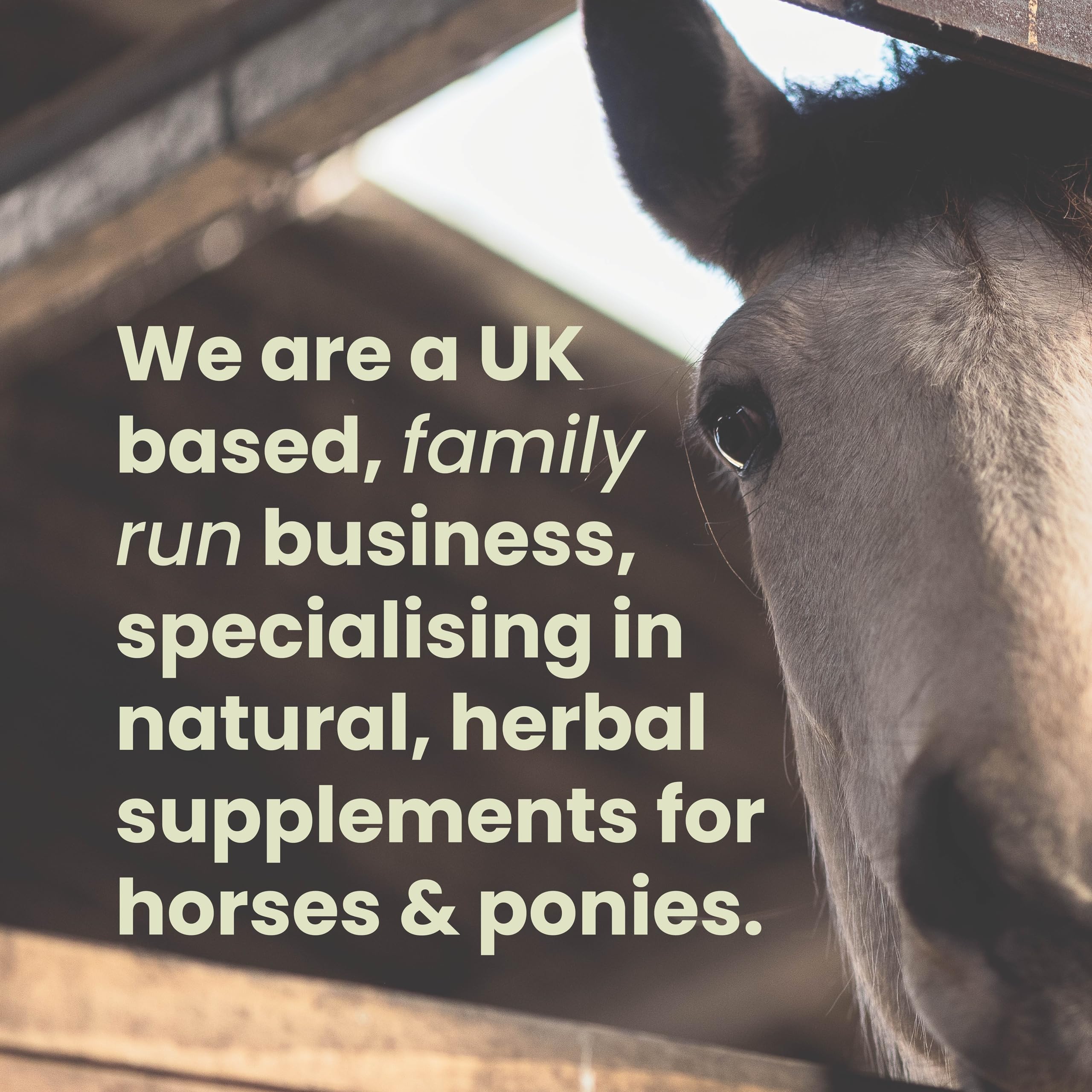 Horse Herbs Himalayan Salt Lick - 1.5kg Natural Equine Supplement for Hydration & Minerals 6