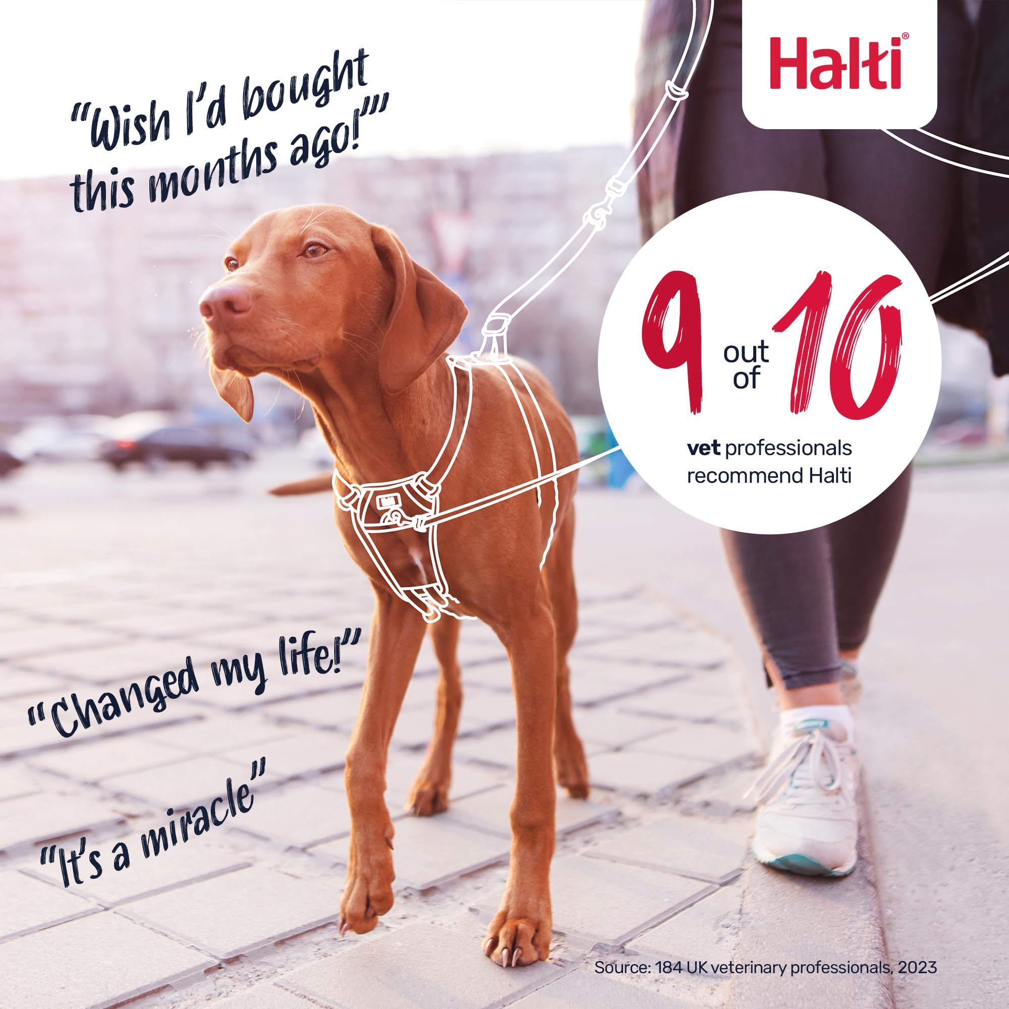 Halti No Pull Vest Harness - Stops Pulling, Adjustable, Reflective | Size Medium, Black 7