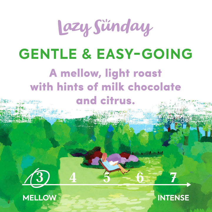 Taylors of Harrogate Lazy Sunday Ground Coffee, 400g (Pack of 3)