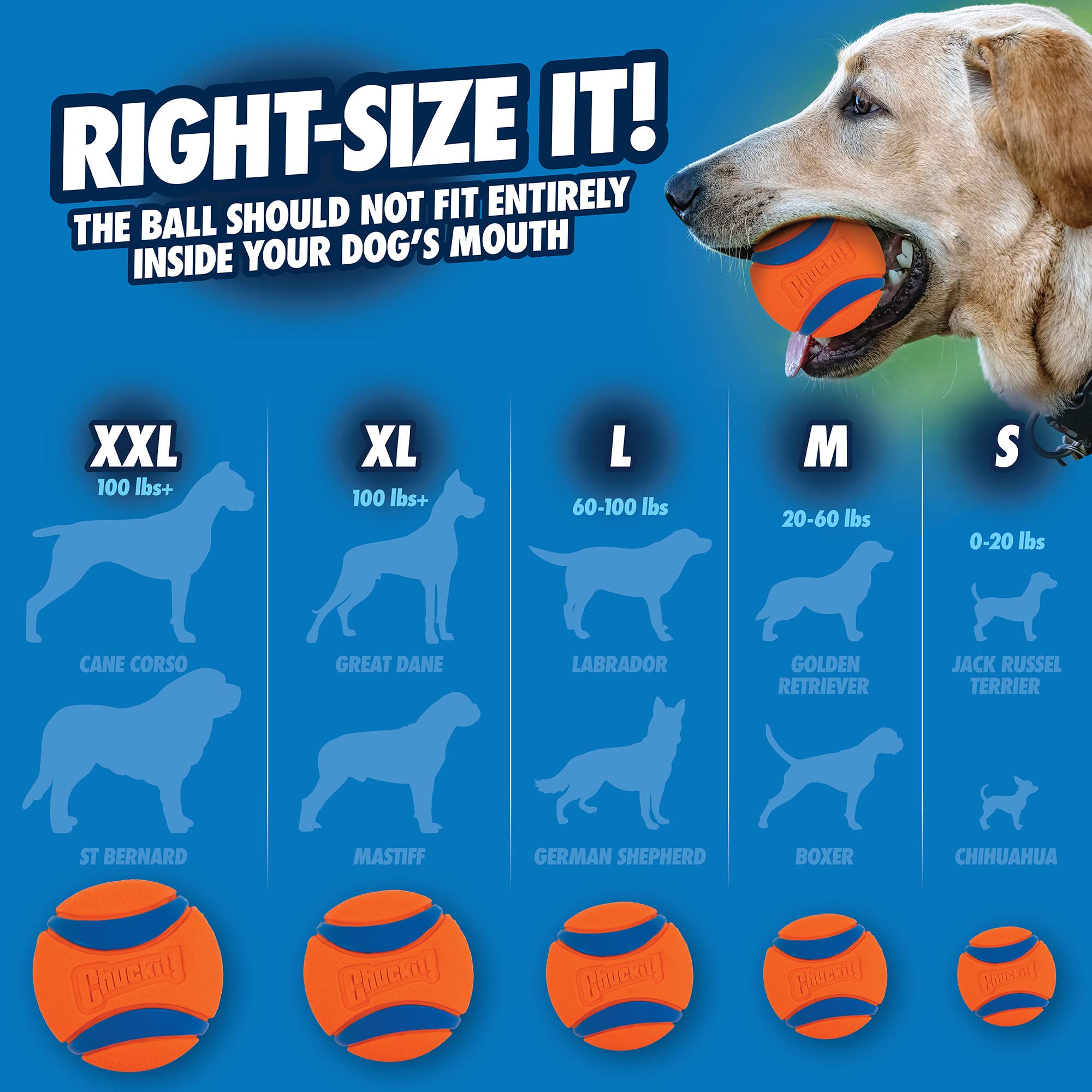 Chuckit! Ultra Ball - Durable High Bounce Rubber Dog Toy for Fetch | Large Size (Pack of 2) 3
