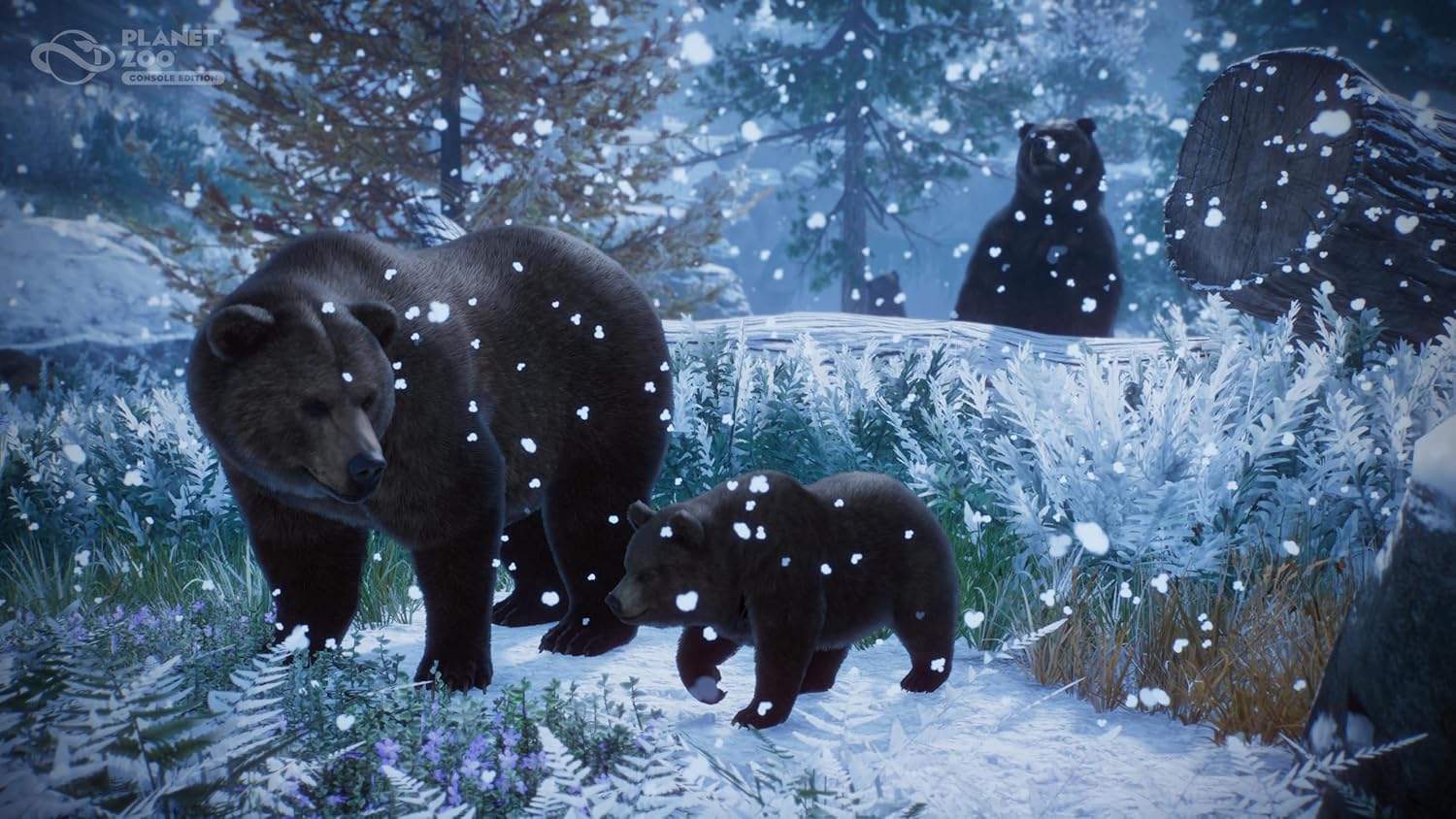 Planet Zoo: Console Edition - Xbox Series X 5