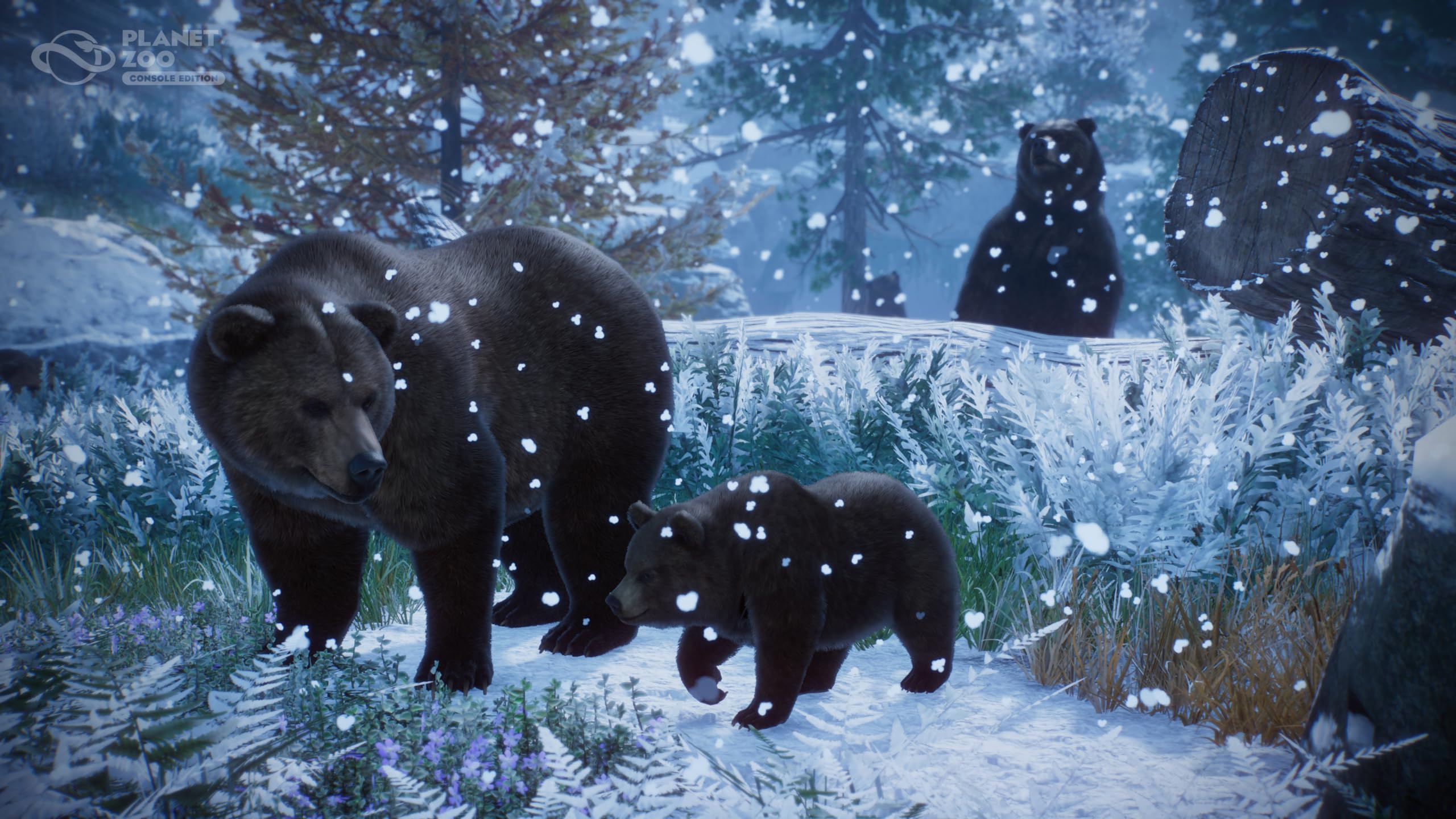 Planet Zoo: Console Edition - Xbox Series X 16