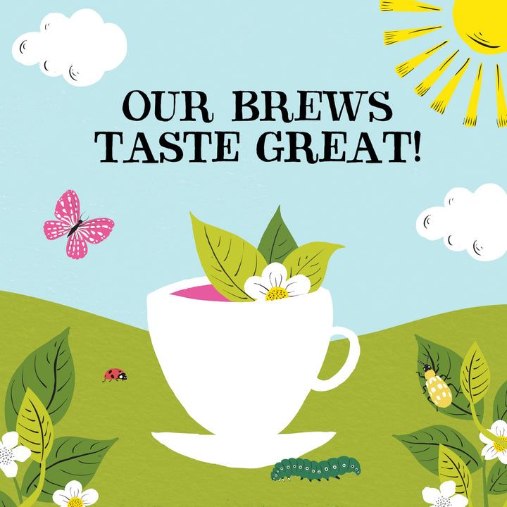 Clipper Organic Herbal & Green Tea Selection Gift Box - 45 Plastic-Free Tea Bags
