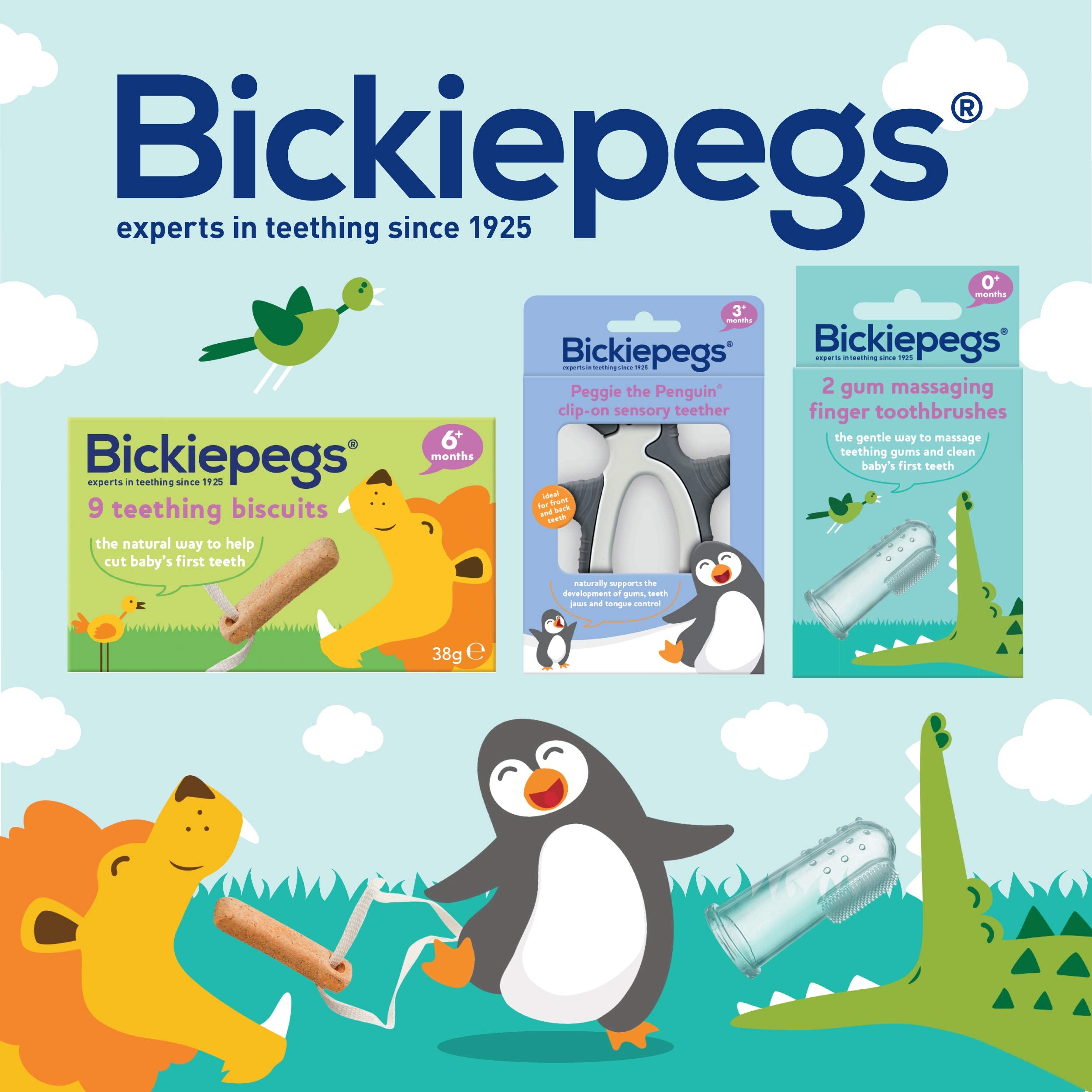 Bickiepegs - Natural 9 Teething Biscuits for Babies (38 g) 8