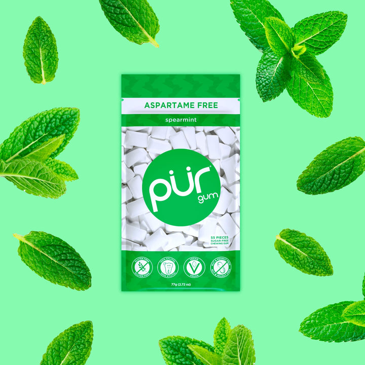 PUR Gum - Sugar Free Chewing Gum with Xylitol, Natural Spearmint Flavor, Vegan & Aspartame Free (55 Pieces, Pack of 6)
