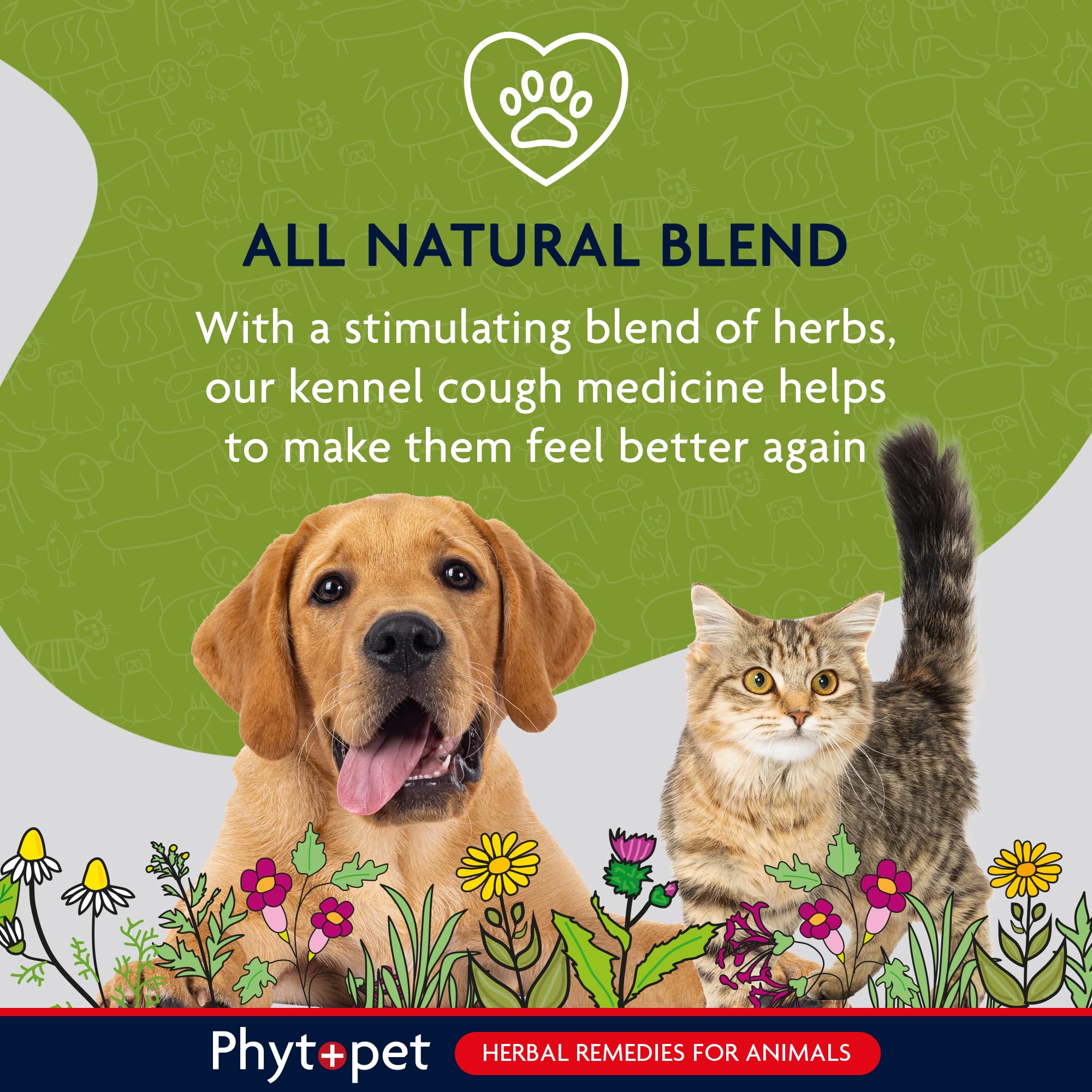 Phytopet Mullein Complex Herbal Supplement - 30ml Liquid | Respiratory Support | All Life Stages 3