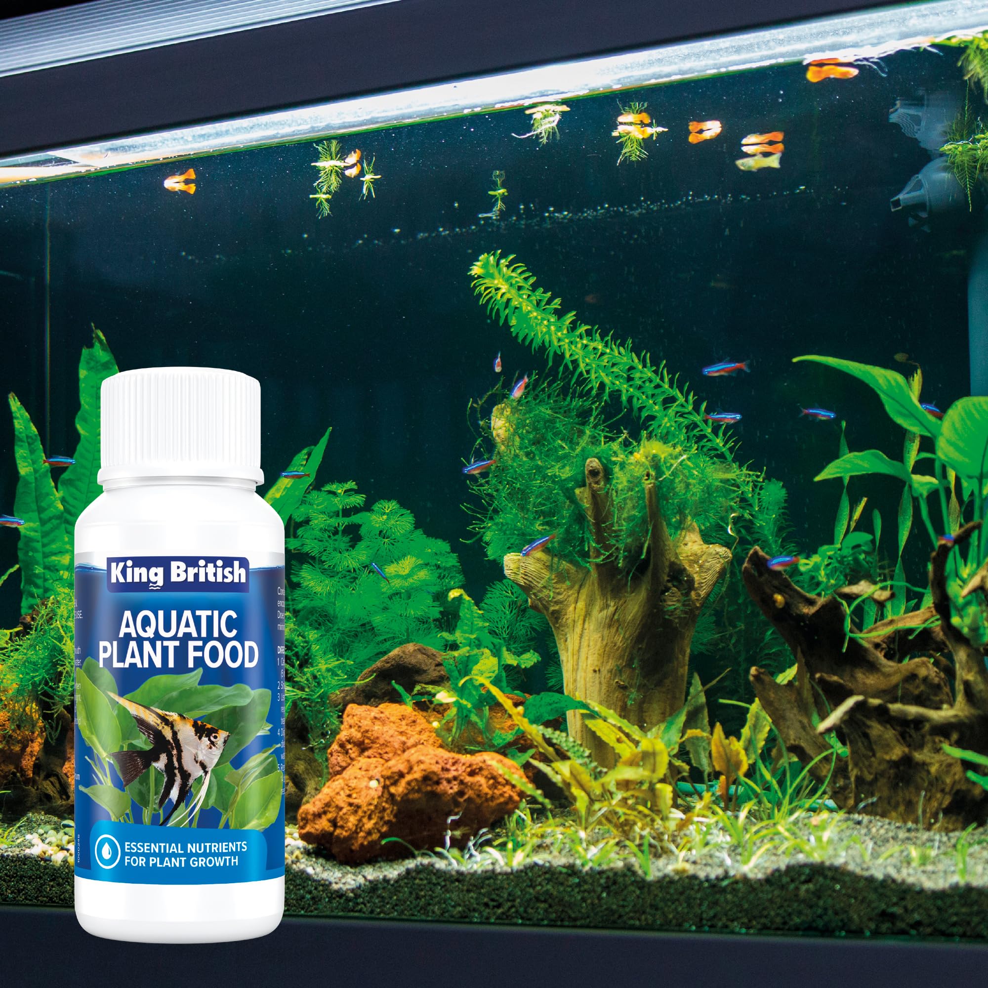King British Aquatic Plant Food - Nutrient Rich Growth Booster | 100ml Liquid | No Nitrate/Phosphate