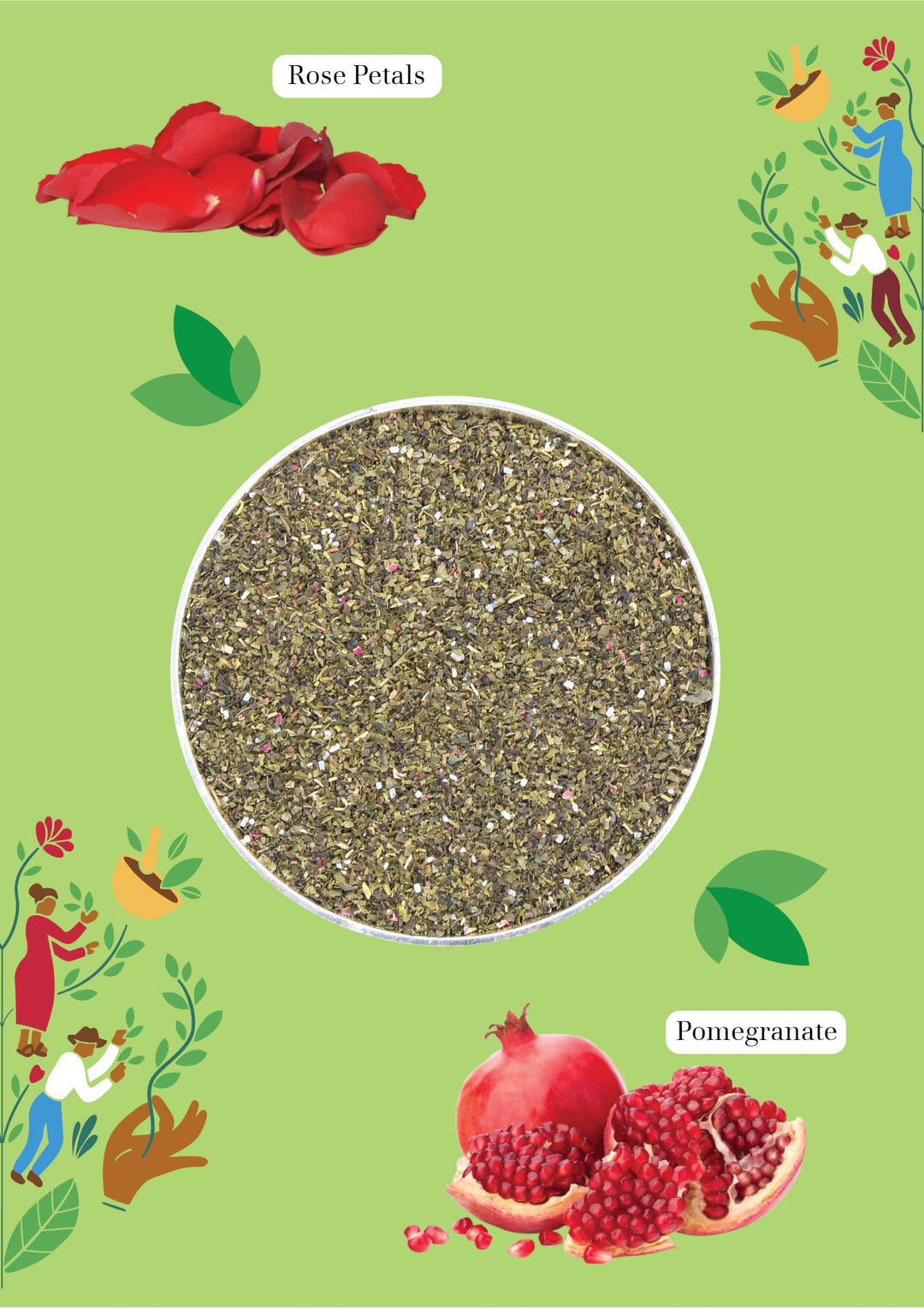 English Tea Shop - Green Tea & Pomegranate - 20 Compostable Tea Bags