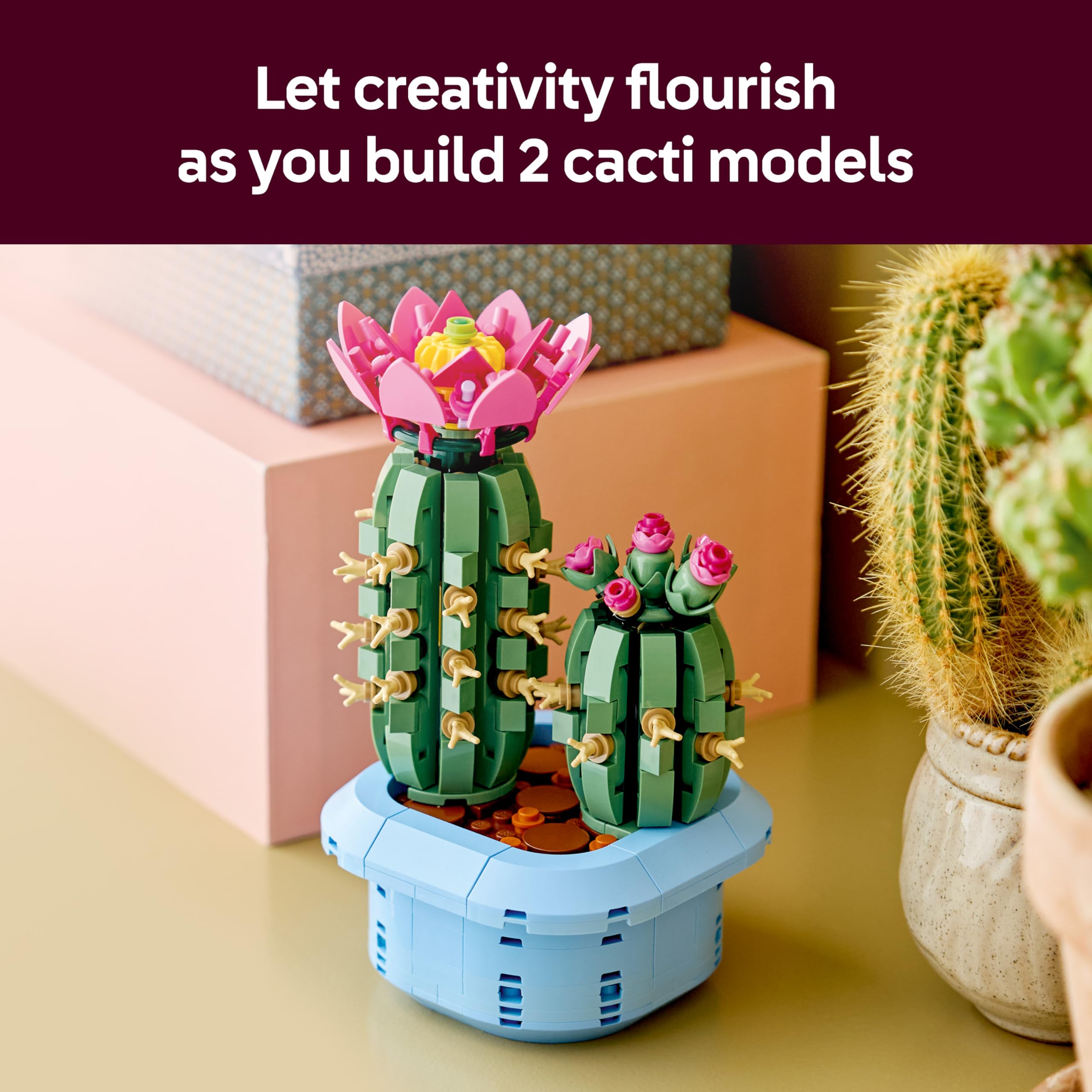 LEGO Botanicals Flowering Cactus Building Set 11509 - 482 Pieces | Ages 9+ | Multicolor 3