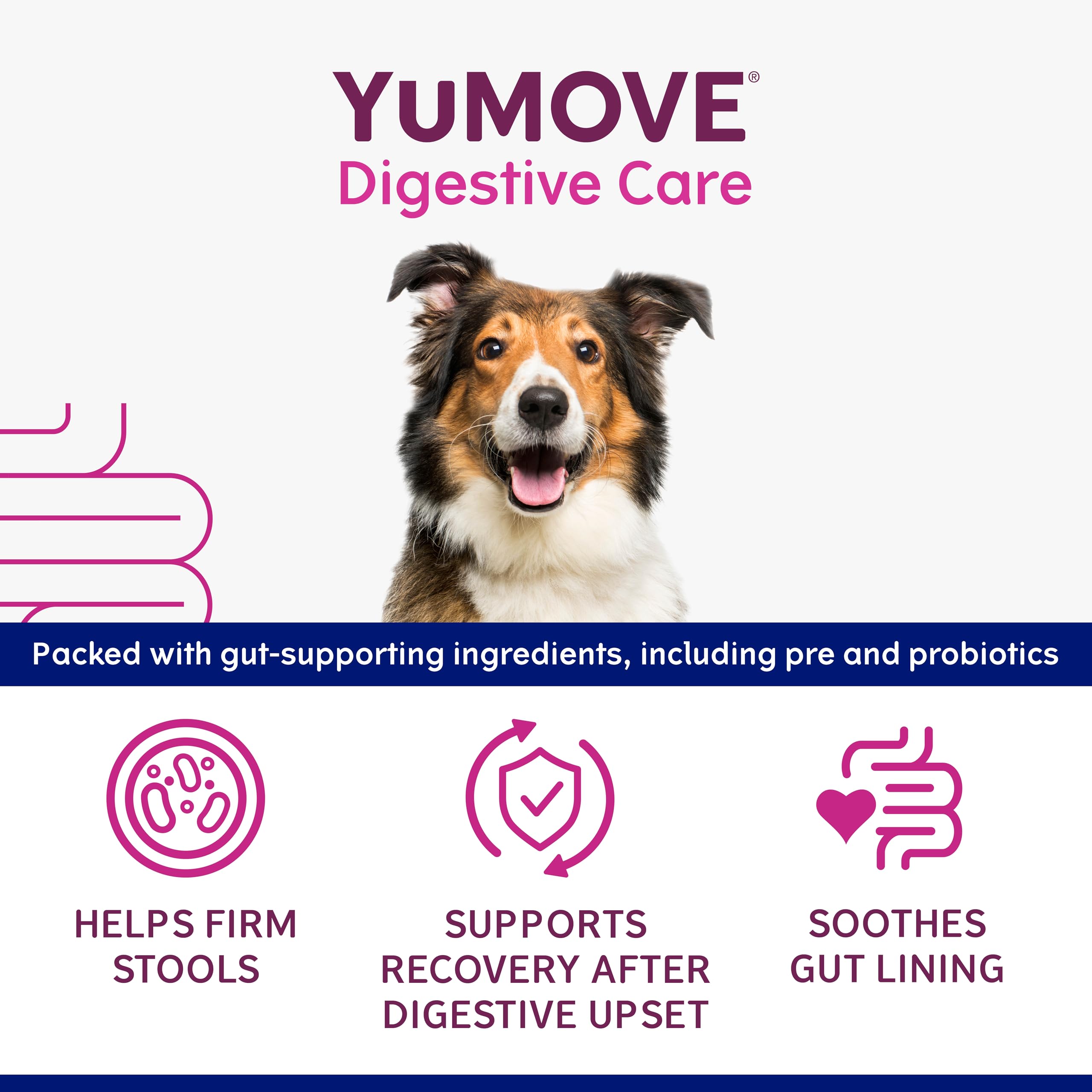 YuMOVE Digestive Care Rapid Dog Pre and Probiotic Paste for Gut Health | 2 Pack | 120ml Total 3