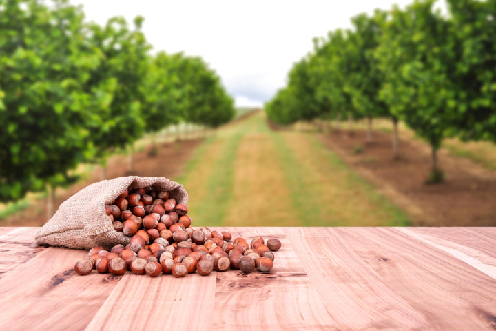 Mundo Feliz Organic Raw Hazelnuts 2 x 500 g