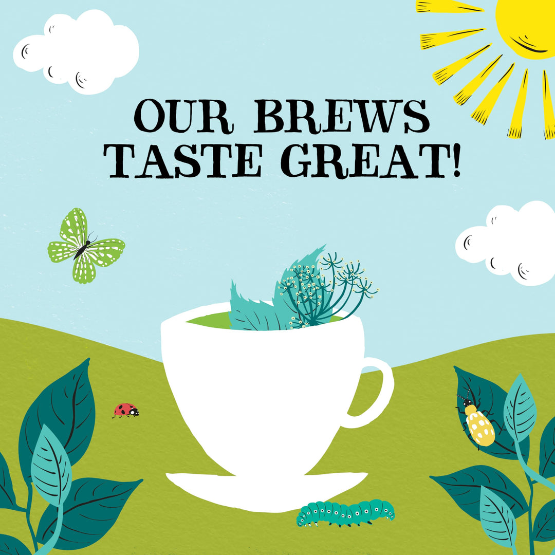 Clipper Organic After Dinner Mint & Fennel Infusion Tea Bags | 20 Unbleached Tea Sachets