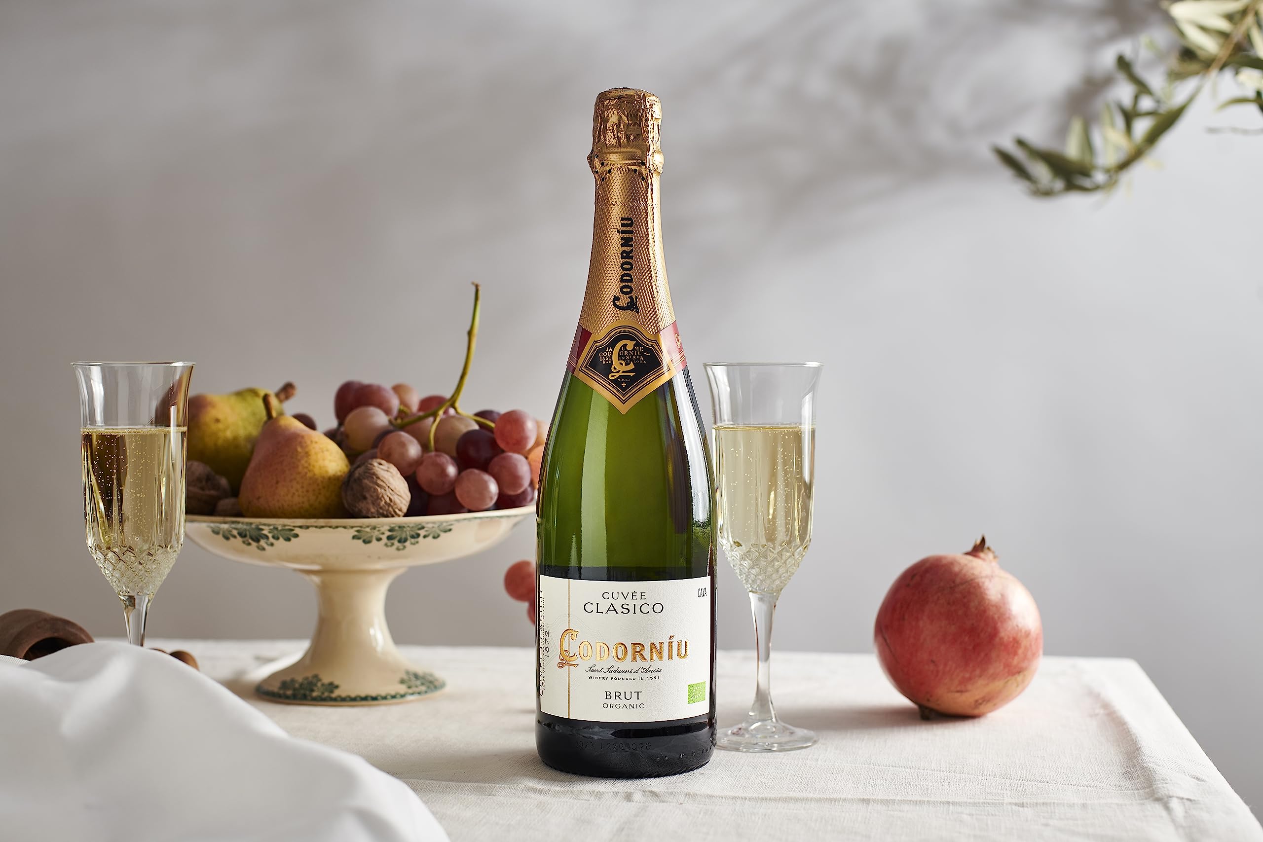 Anna De Codorniu Clasico Brut Cava White Sparkling Organic 75cl